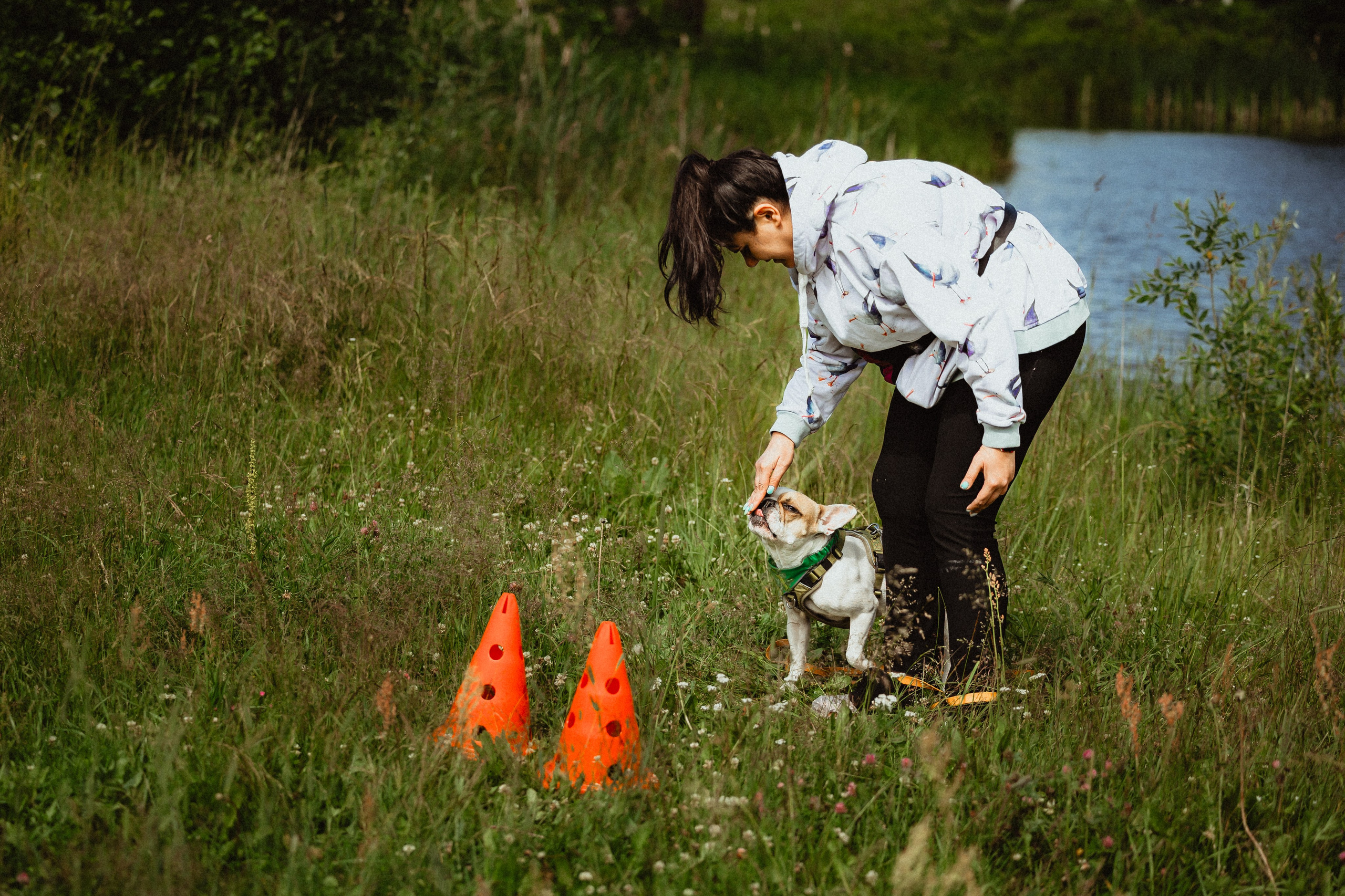 Выездной дог-тренинг от школы «Шерсть имею»
