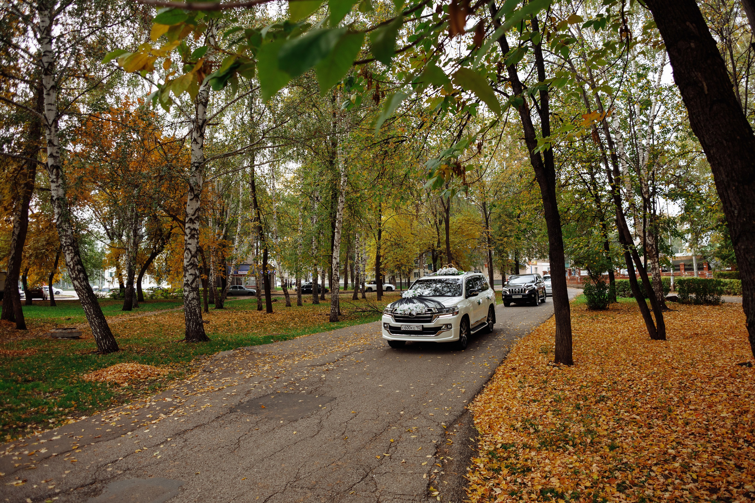 Вячеслав и Ксения. Свадебный фотограф в Уфе Трифонов Дмитрий