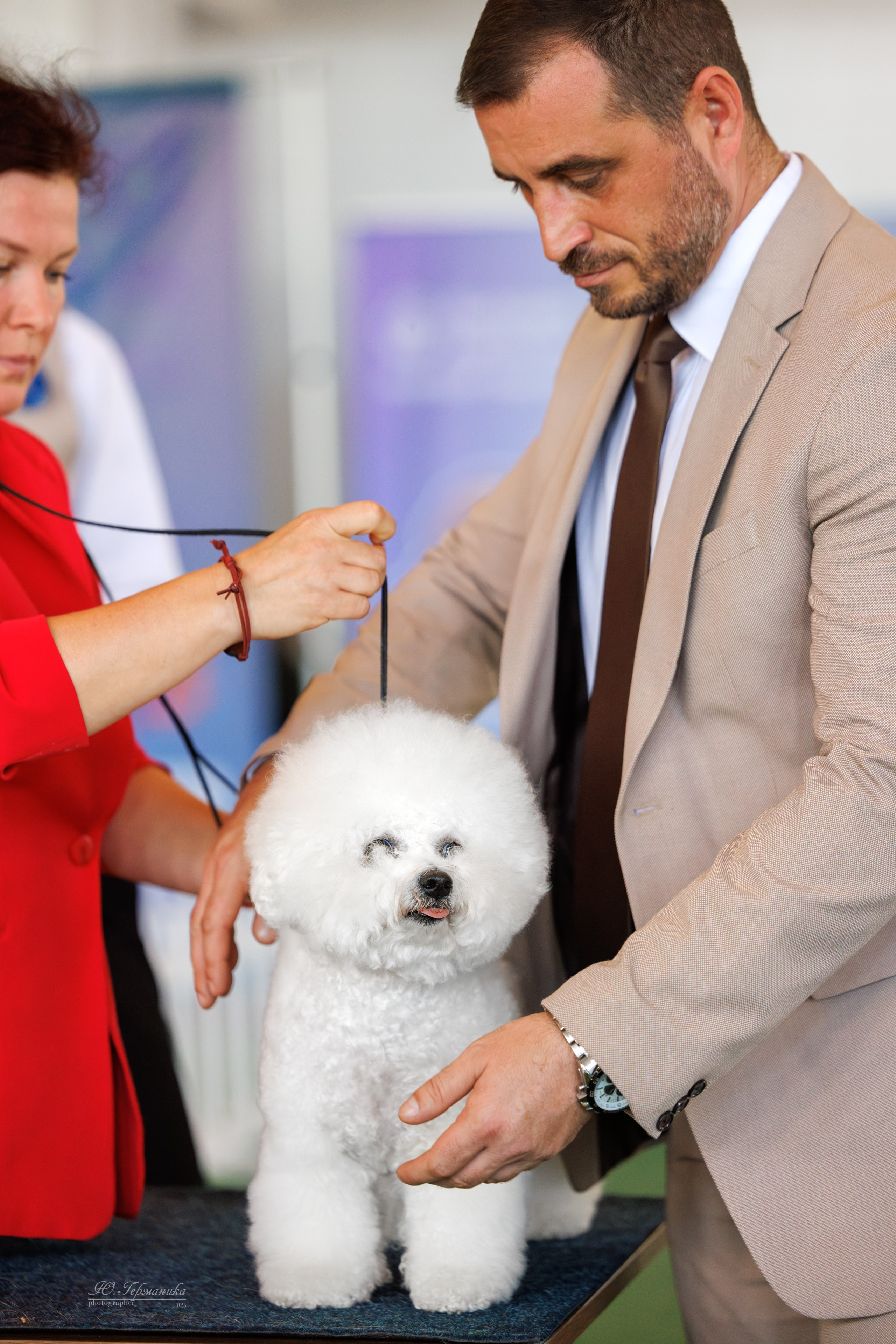 Батуми 3хCACIB 27-29.06.2025. Фотограф-анималист Юлия Германика