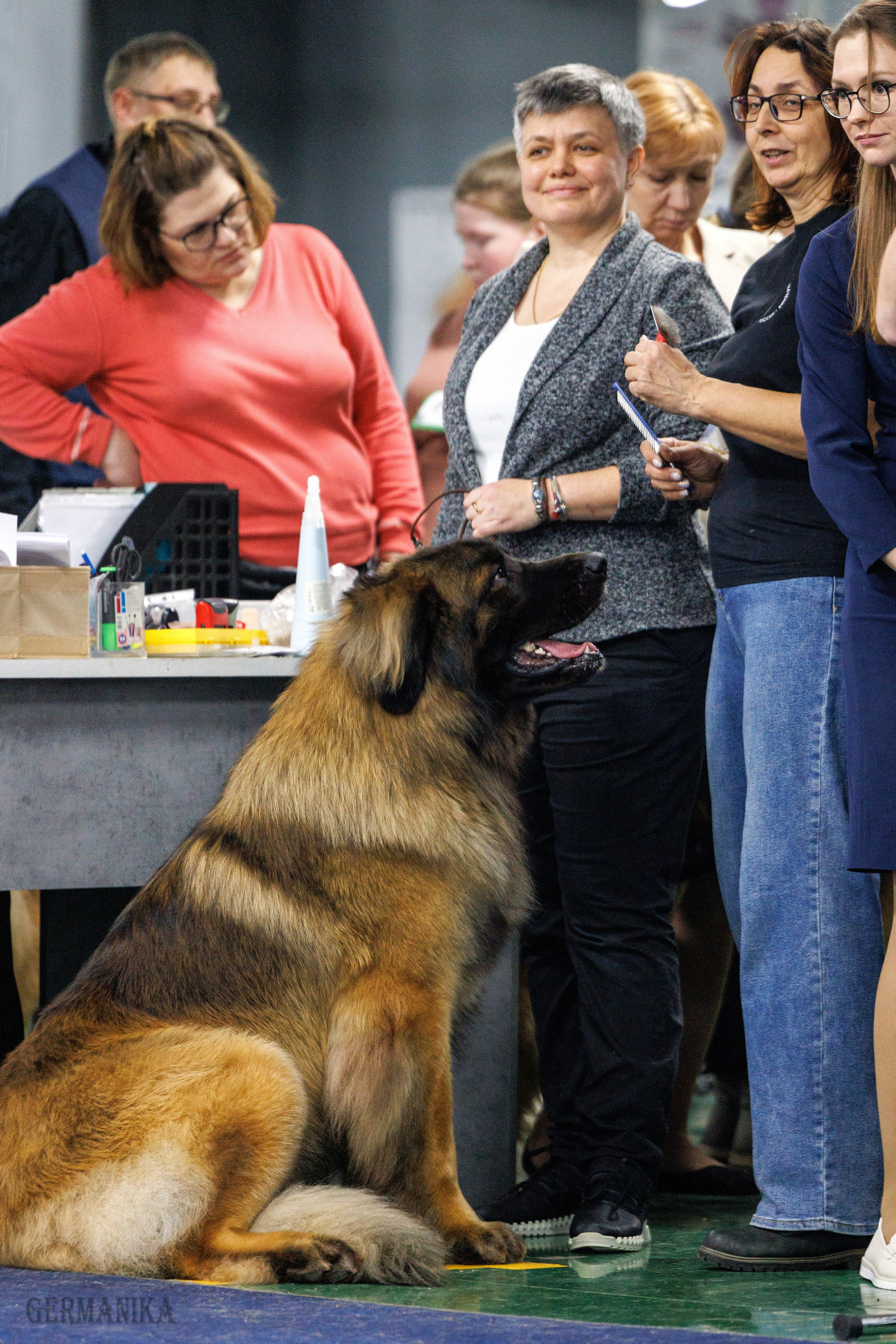 Сфера 28.01. и 4.02.2024. Фотограф-анималист Юлия Германика