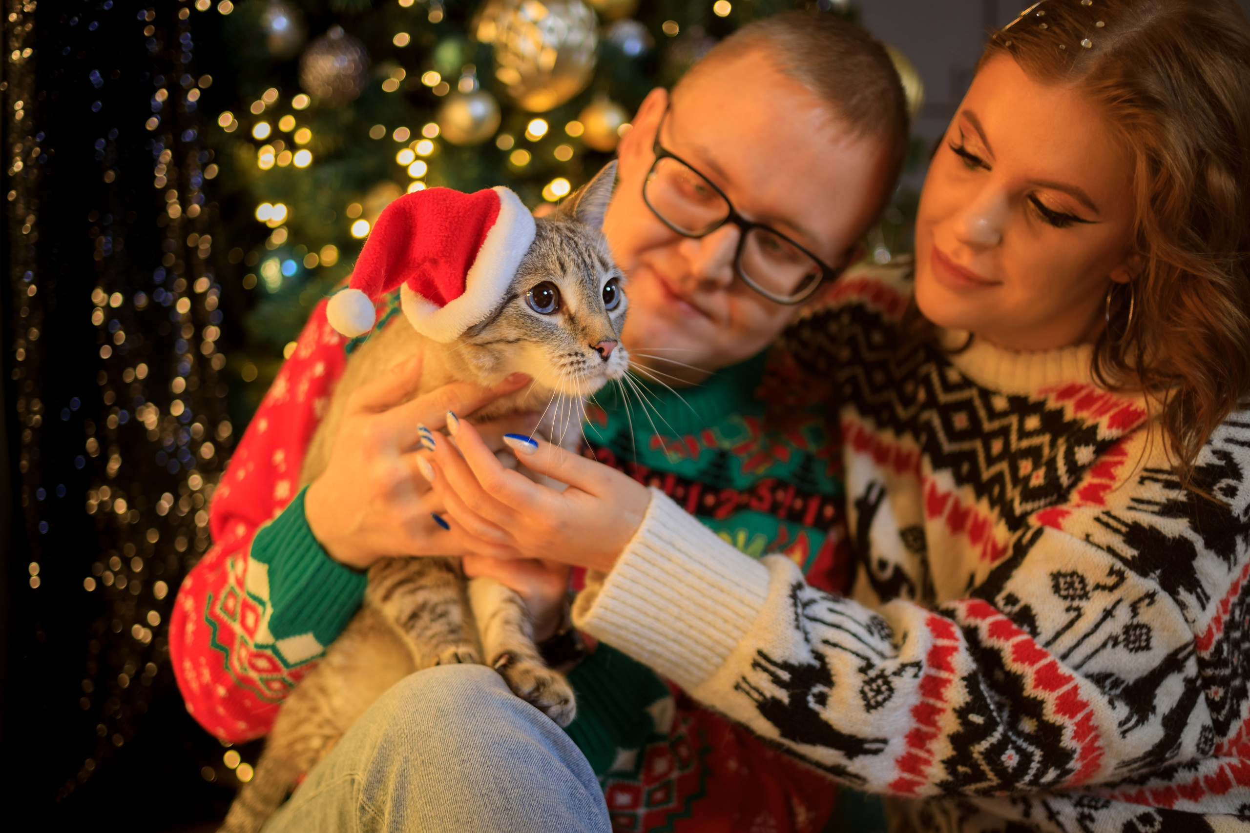 Семейные, детские фотосессии