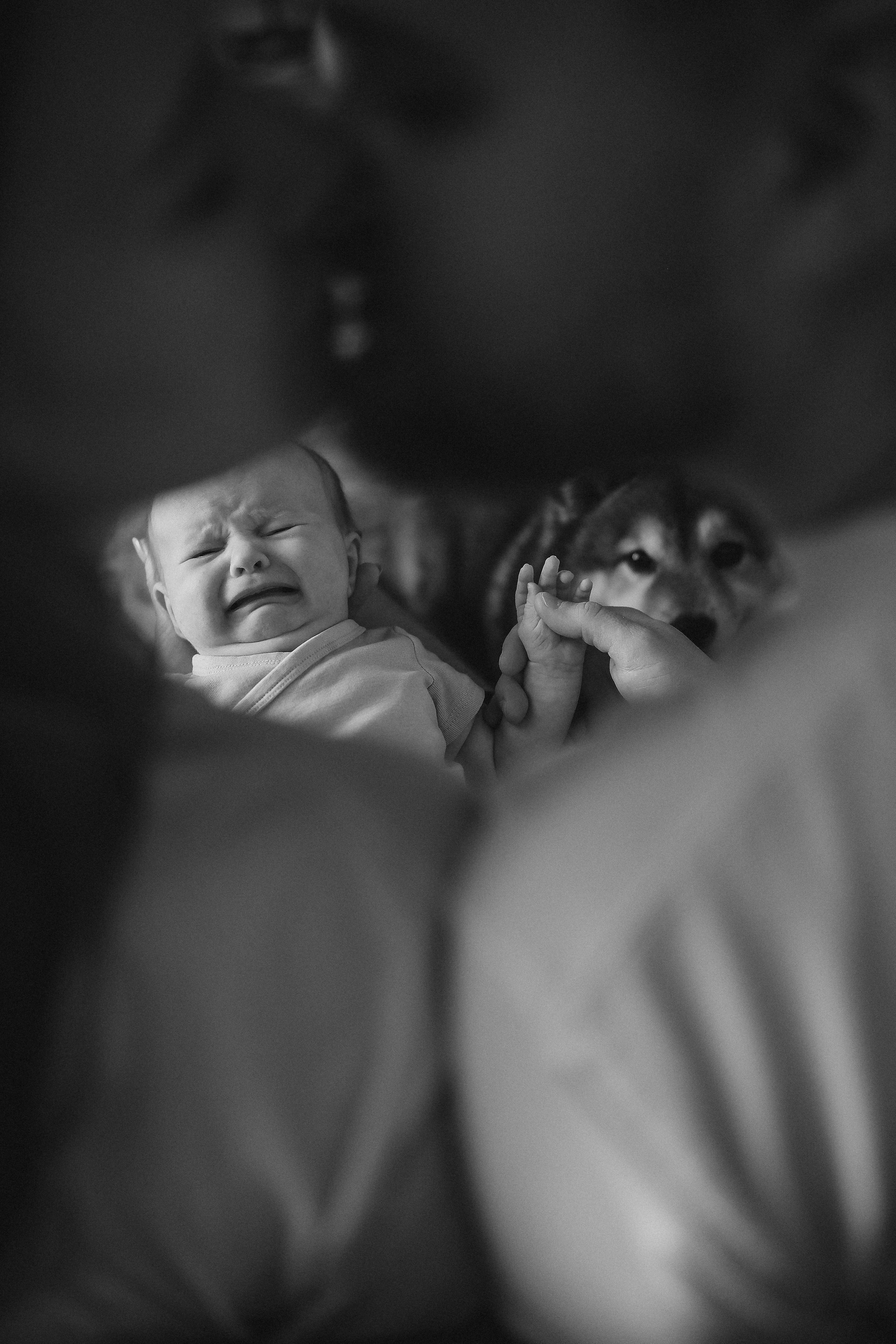 Новорожденные LIFE. Ньюборн и детский фотограф в Москве Шигина Марина