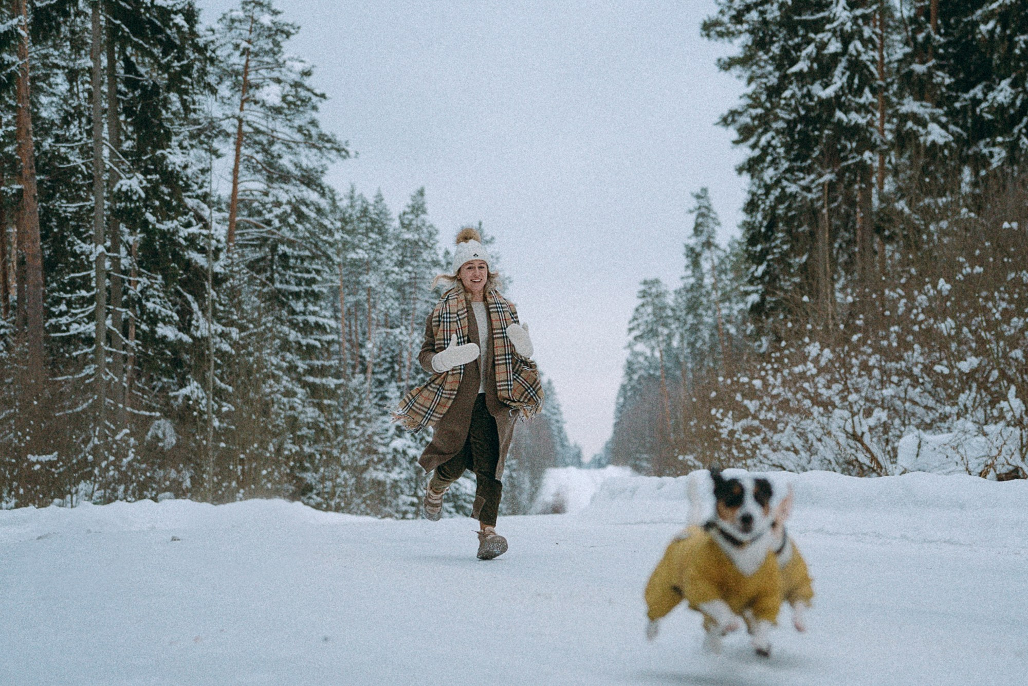 Алина, Ваниль и Элис. Фотограф анималист в Москве и Санкт-Петербурге Свиридова Анна
