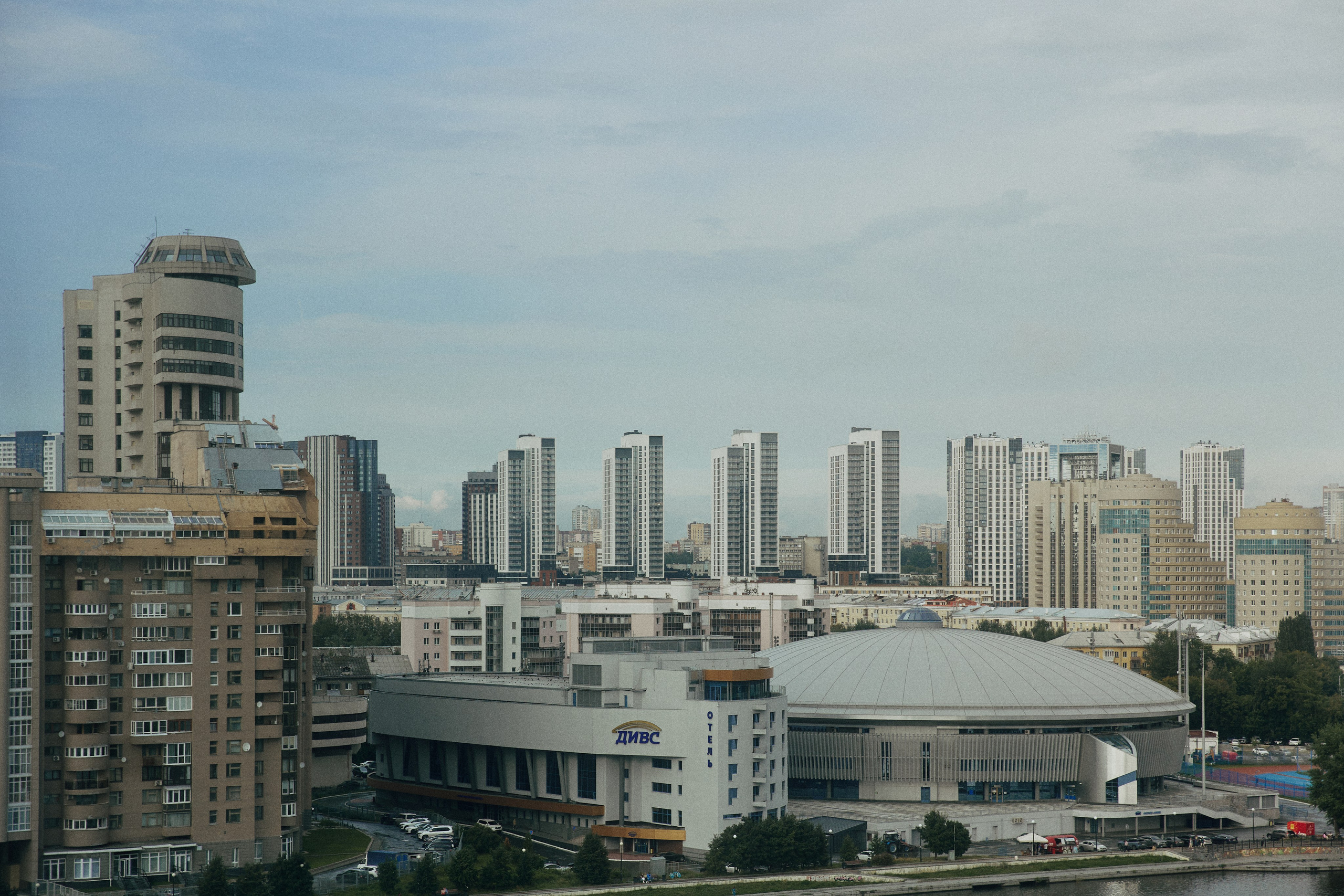 A NEW FAMILY TREE. Дмитрий Мазуркевич: Профессиональный Репортажный Фотограф