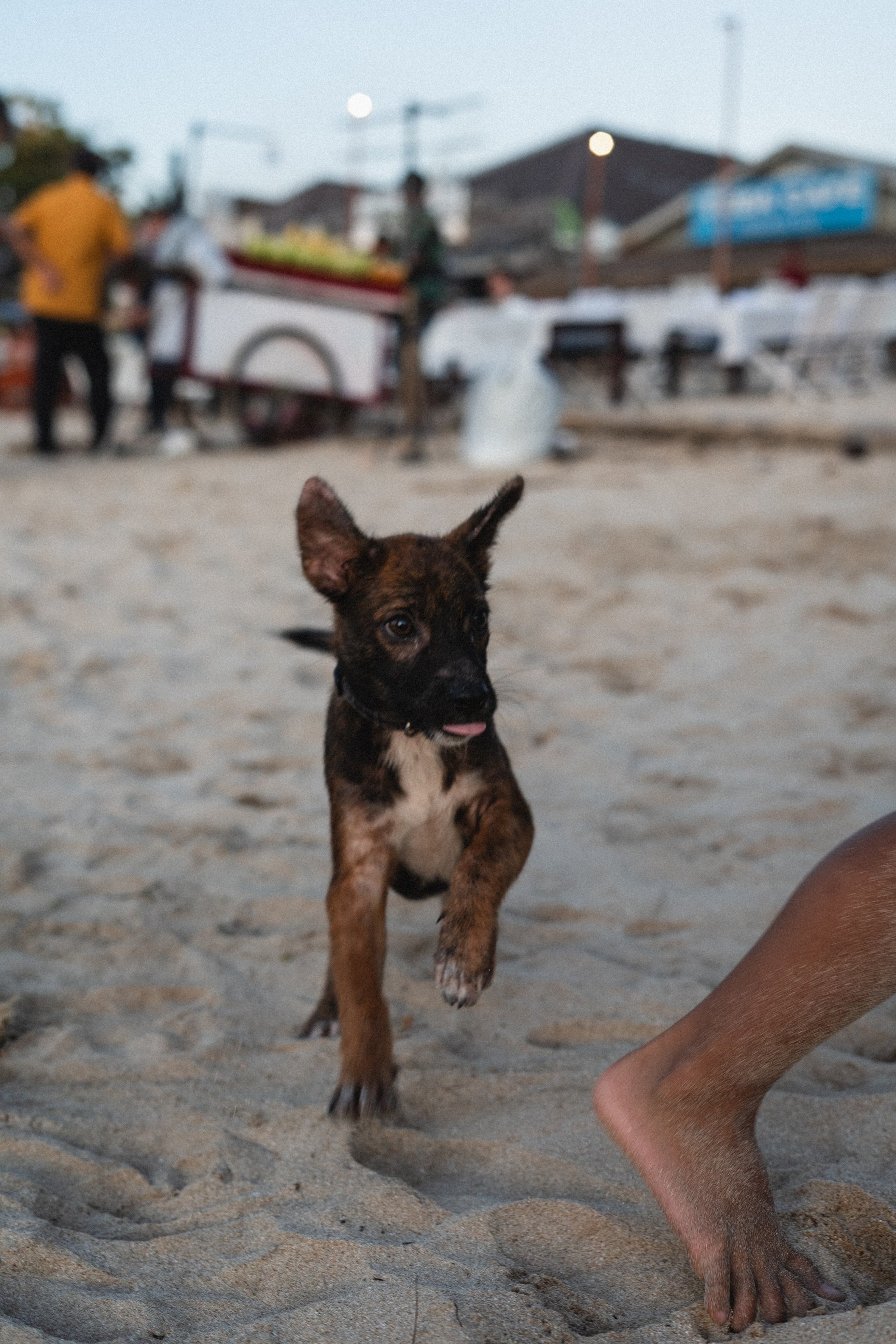 Bali. Фотограф Волгоград