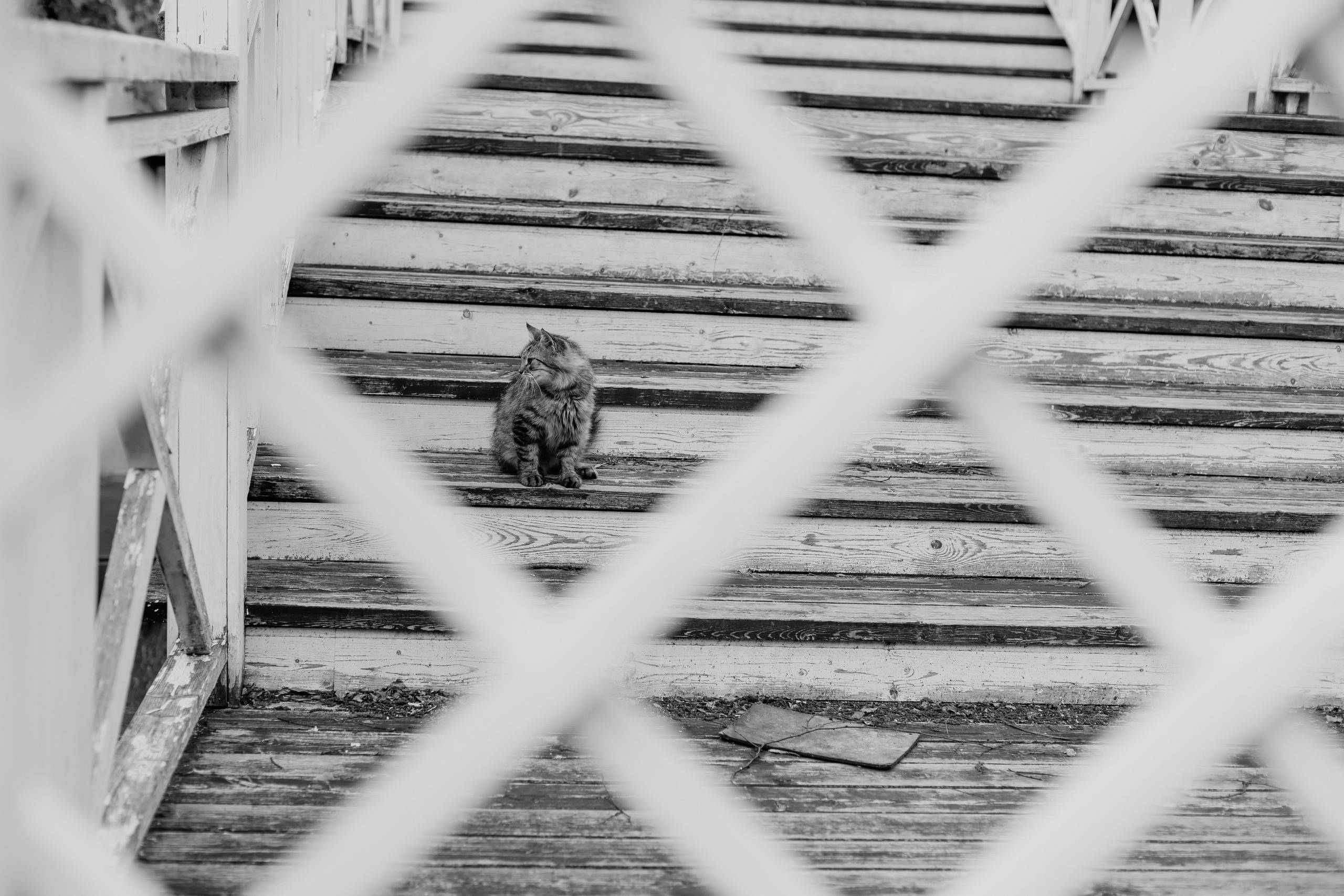 Свадебная фотосессия в Орле. Свадебный фотограф в Орле Андрей Поляков