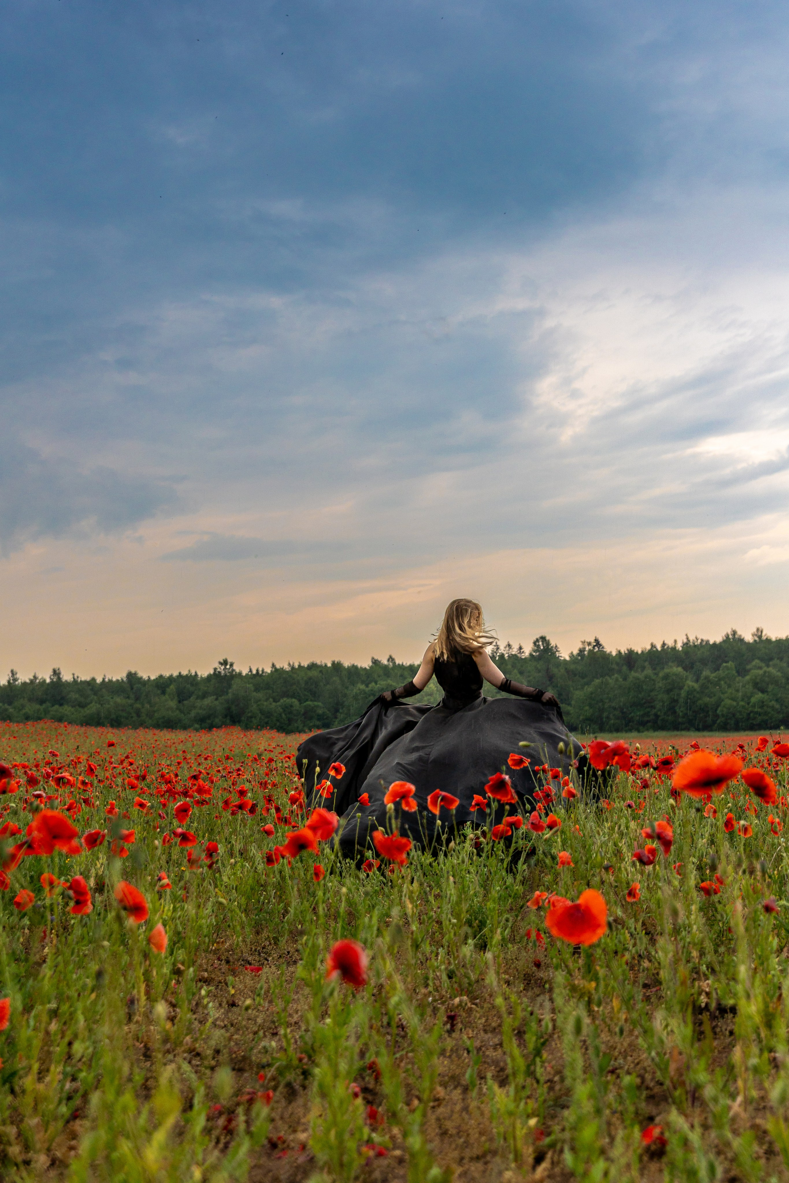 Маки. Фотограф в Санкт-Петербурге Закута Ольга
