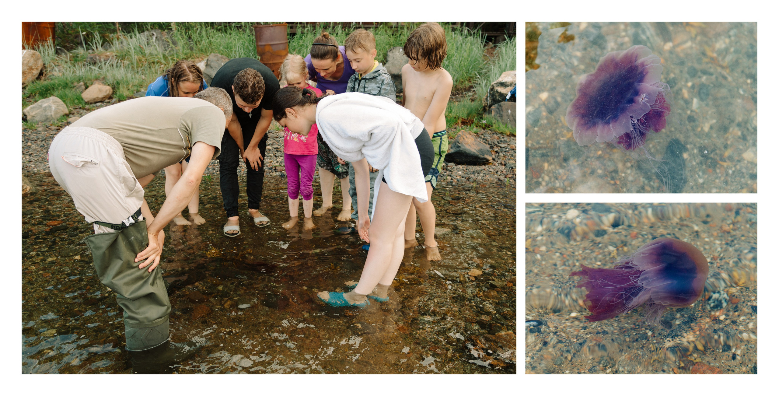 Белое море. Фотограф Алиса Калинина