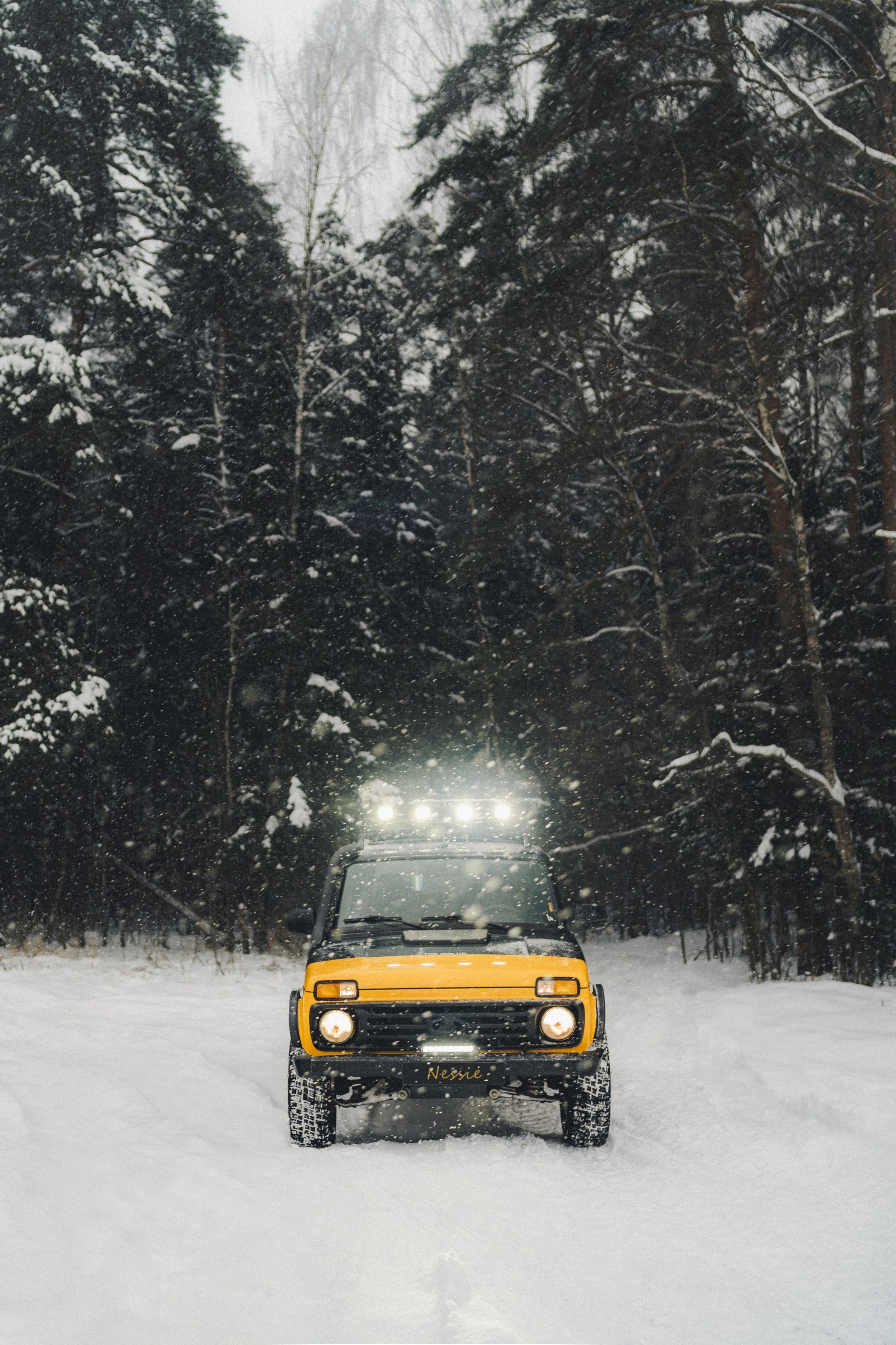 Niva Bronto (Nessie) x FAUNO. Фотограф Илья К. в Москве