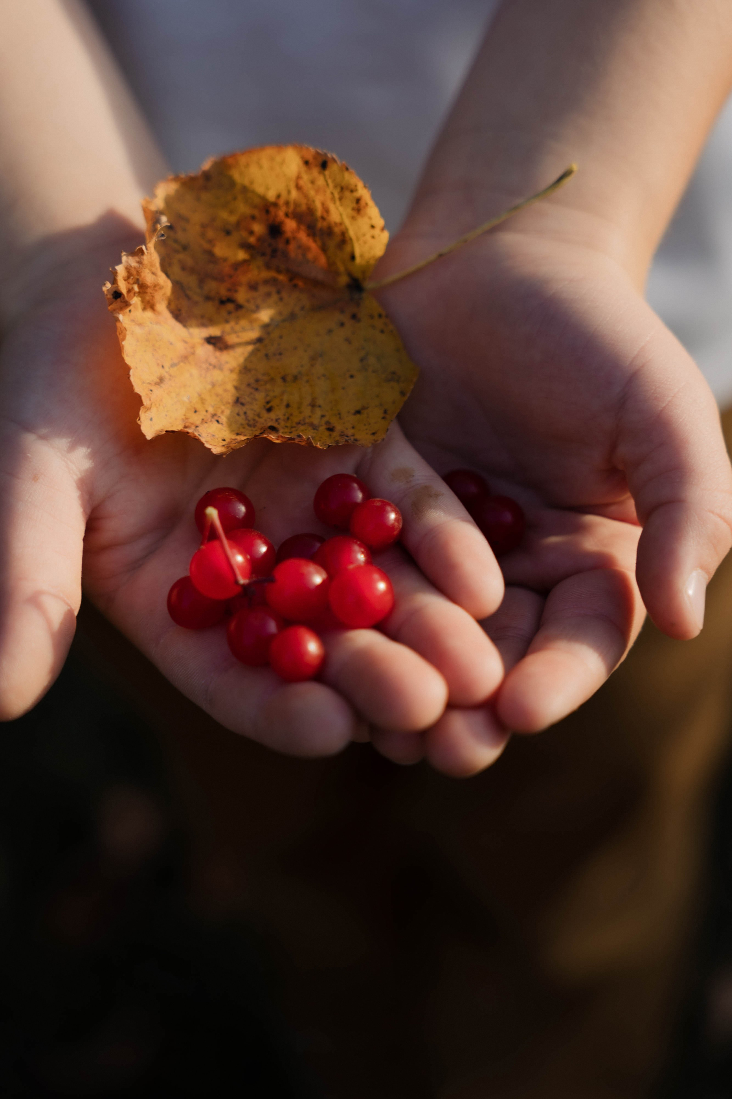 Семейные истории. ФОТОГРАФ КСЕНИЯ СОСНОВСКАЯ