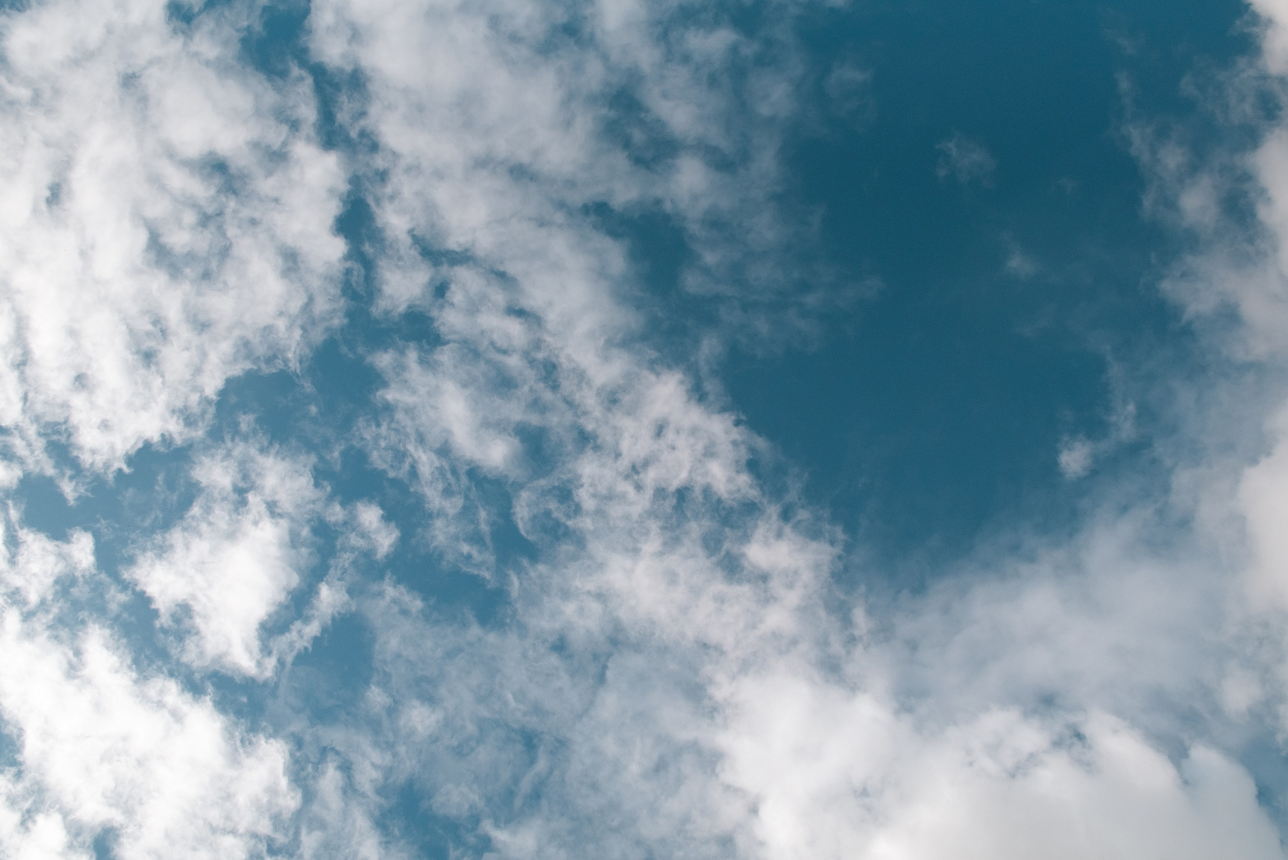 Ранчо. Фотограф, визажист. Москва