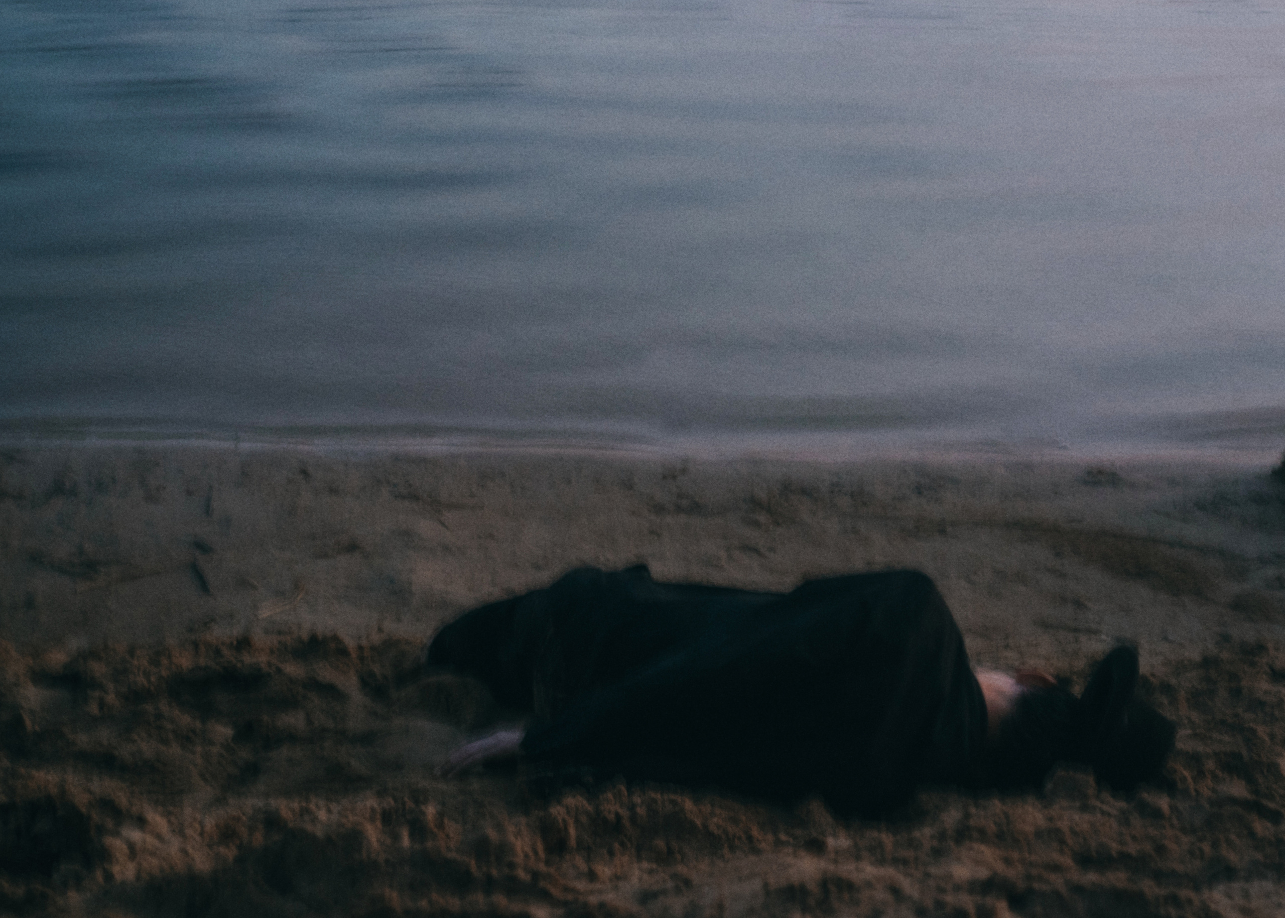 Кирилл. Свадебный фотограф Анжелика Сариева