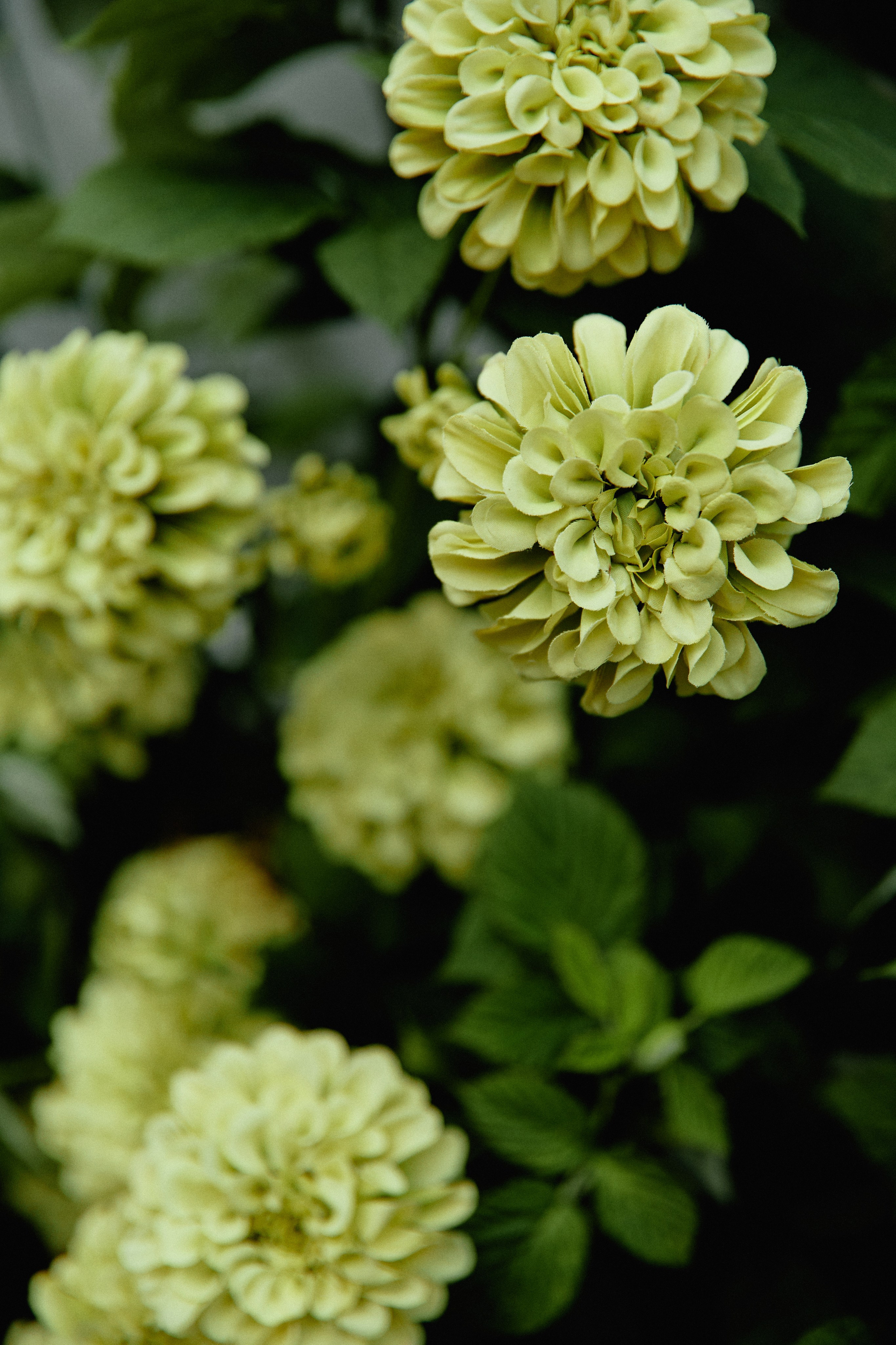 София и Сергей. Фотограф во Владимире, Москве и Суздале — Полина Романычева