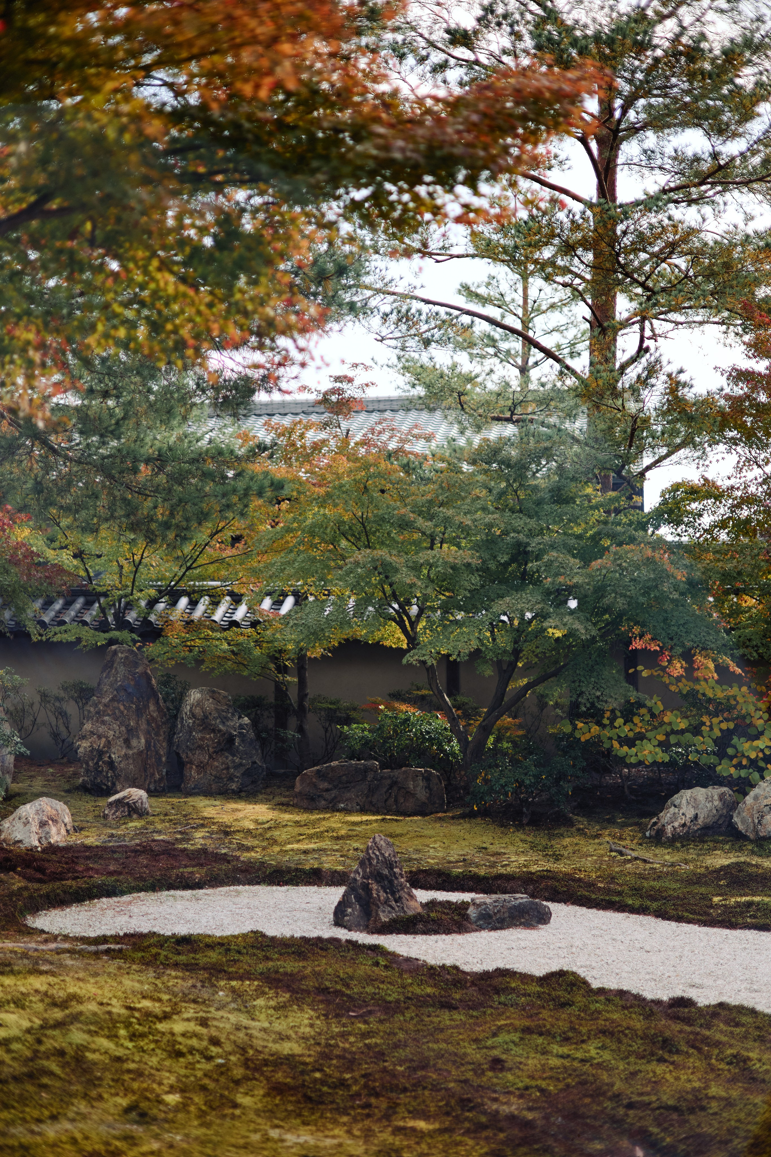 Япония. Профессиональный Фотограф во Владимире, в Москве и в Суздале — Полина Романычева