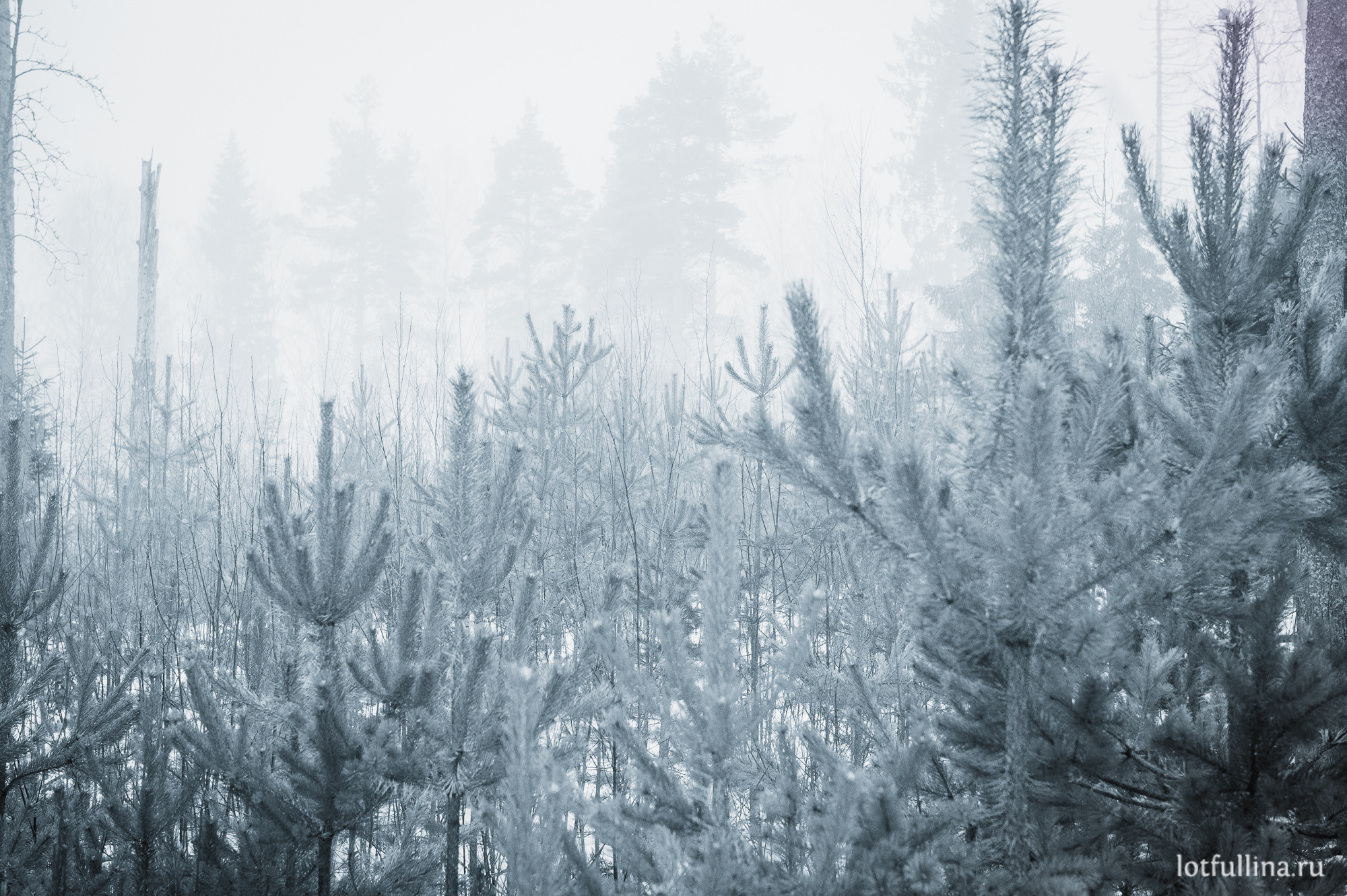 Айгуль Лотфуллина. #АйгульТВ. Фотограф в Адлере и Сочи, Красной Поляне. Айгуль Лотфуллина. #АйгульТВ. Фотограф в Адлере и Сочи, Красной Поляне