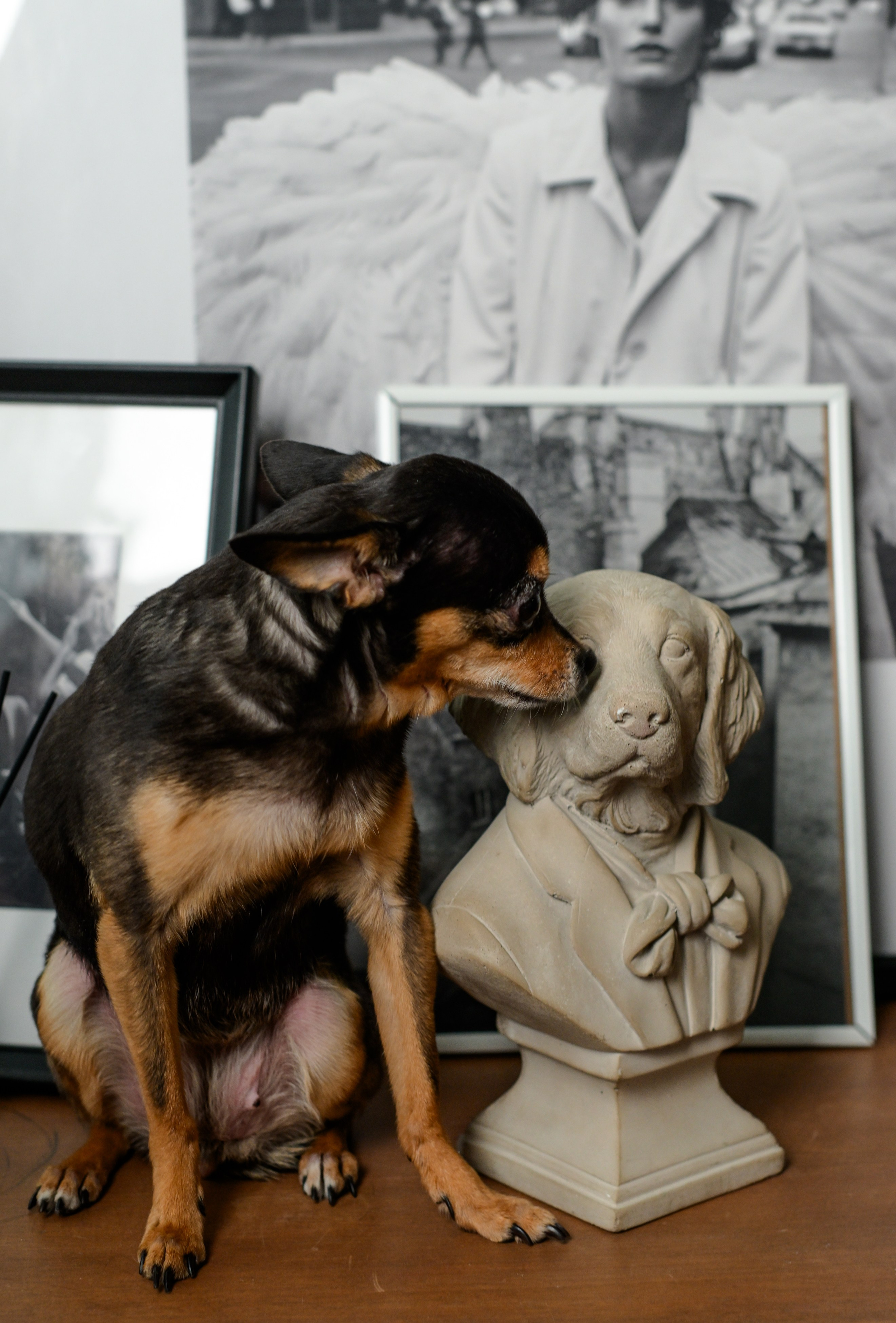 Катюша и Елена