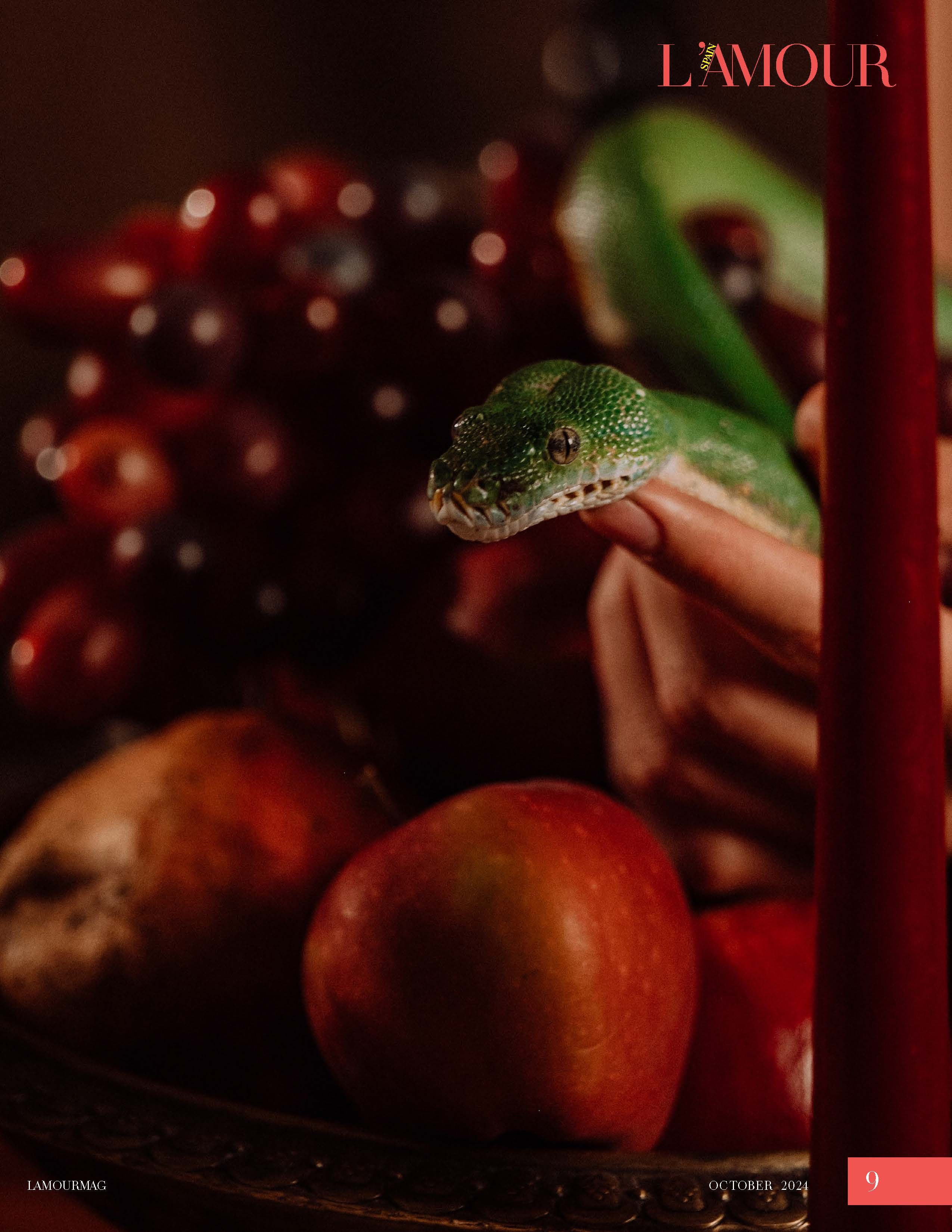Публикации. Мир живой фотографии о Вас и для Вас