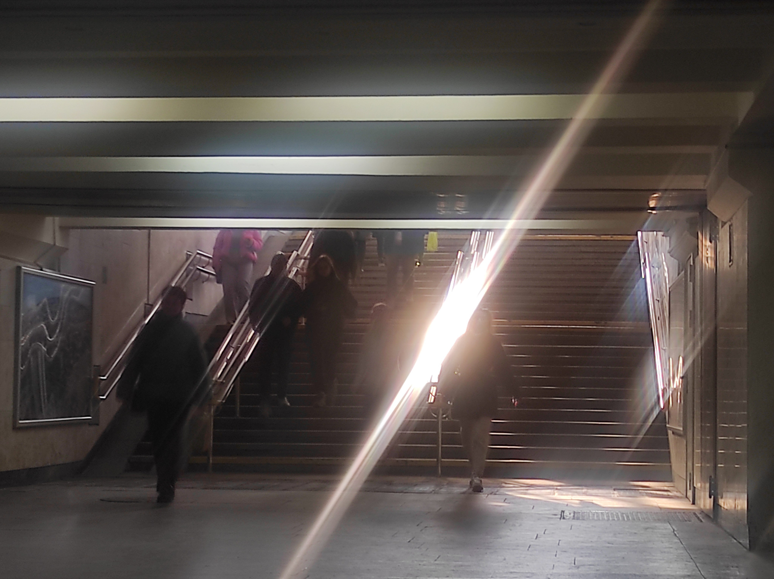 Солнечный. Фотограф в Санкт-Петербурге Березовский Даниил