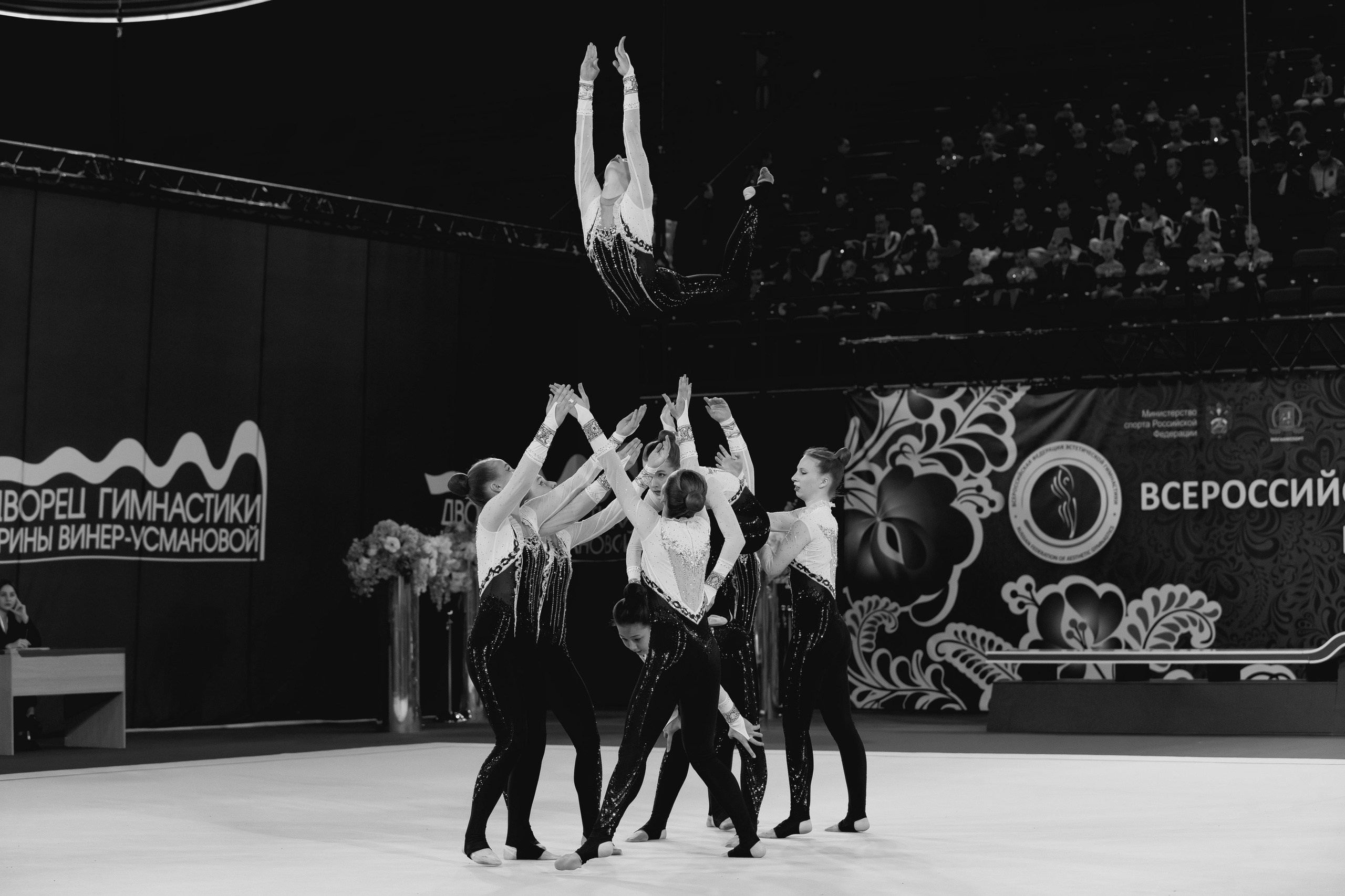 Кубок России по эстетической гимнастике 2025. Москва. Спортивный фотограф Александр Васильев. RG и AGG