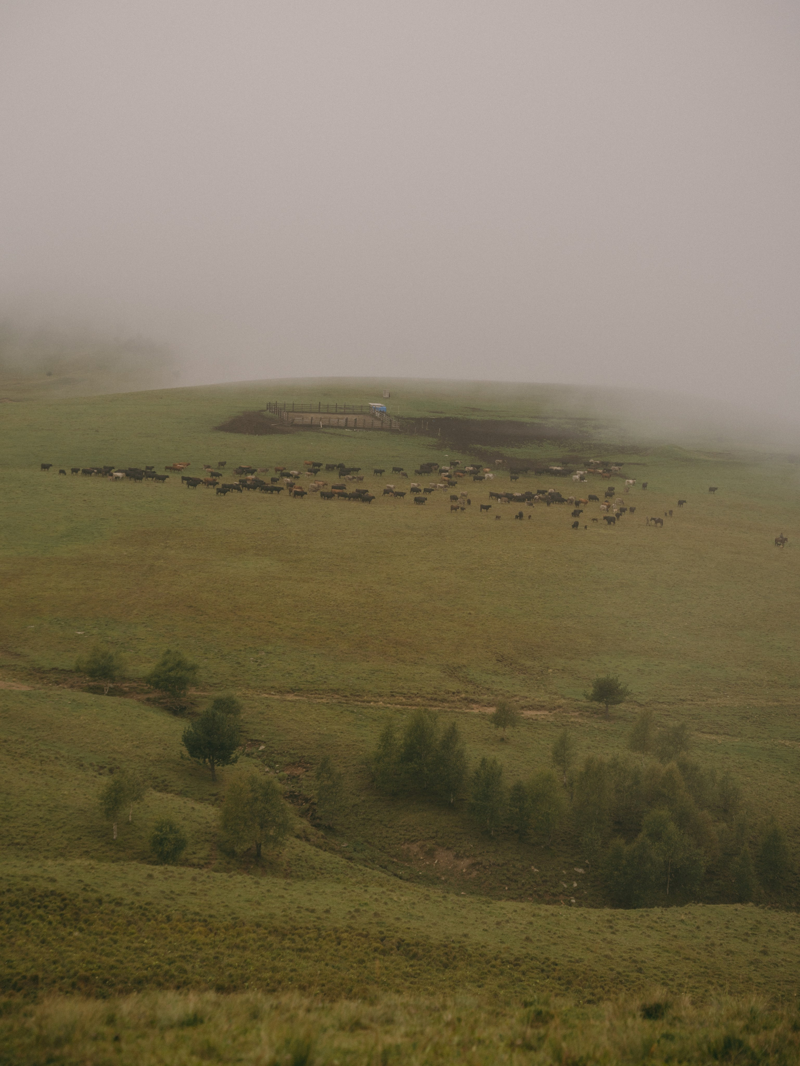 Пикник в горах. Свадебный фотограф Ирина Беляева Пятигорск|Кисловодск|Эльбрус|Домбай