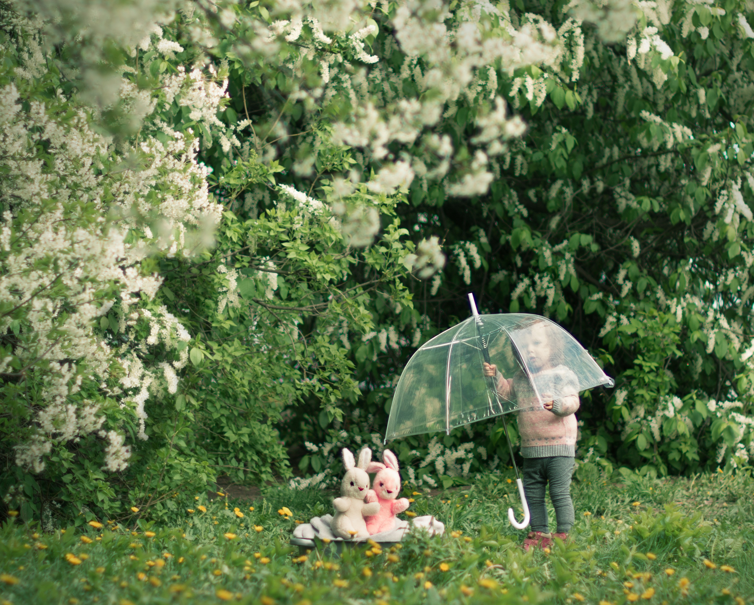 Детская фотосессия до 1 года в парке. Фотосессия беременности — Крылова Натали — Москва