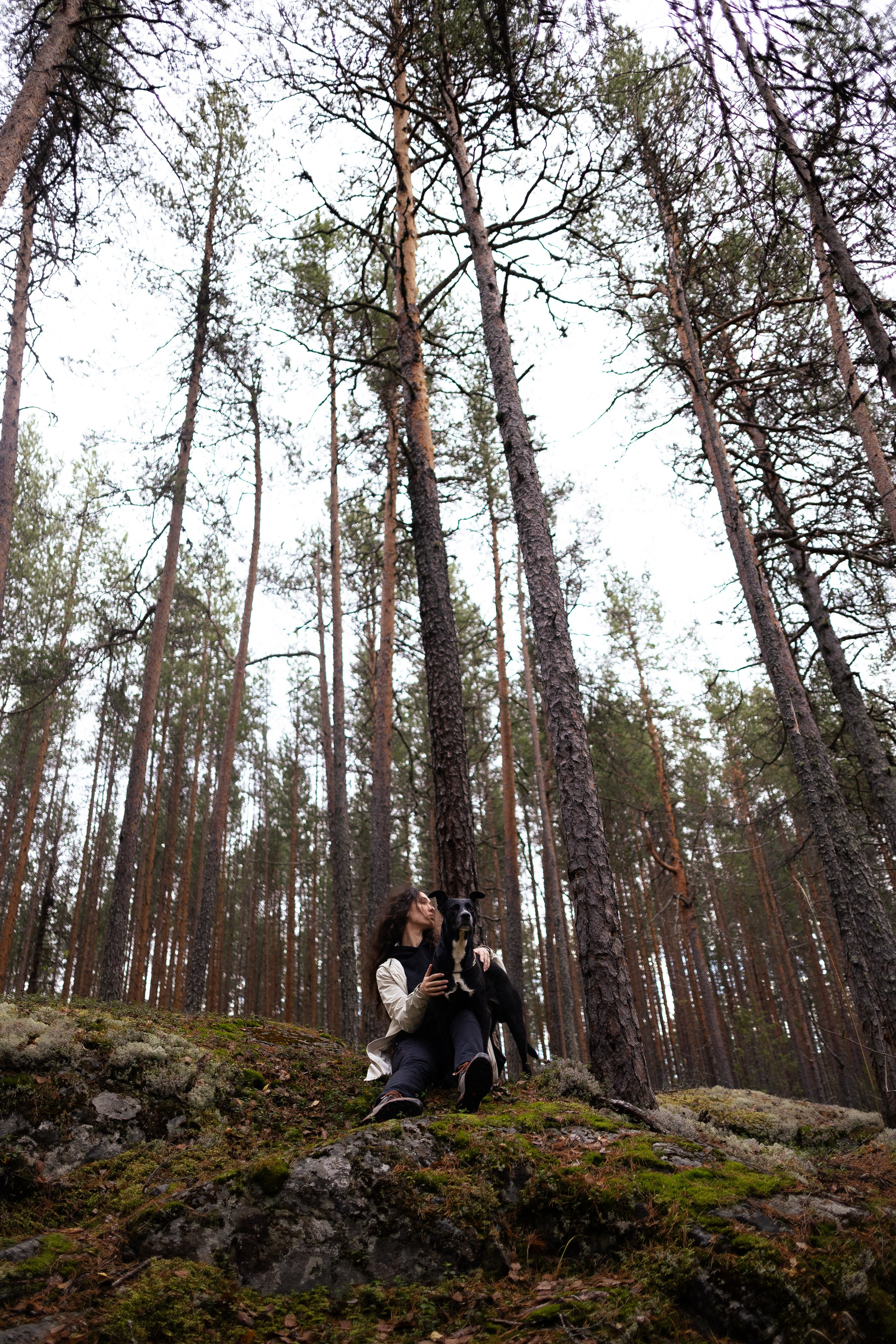 Karelia. Фотограф и видеограф анималист Аганина Дарья