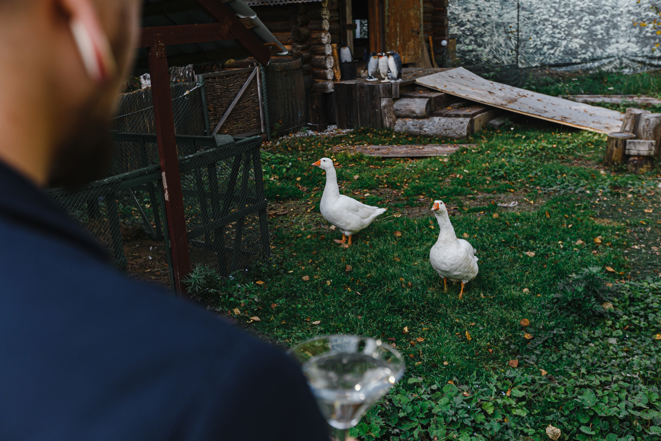 Свадебный фотограф Москва Питер Екатеринбург Антон Матвеев https://www.instagram.com/toha.matveev/