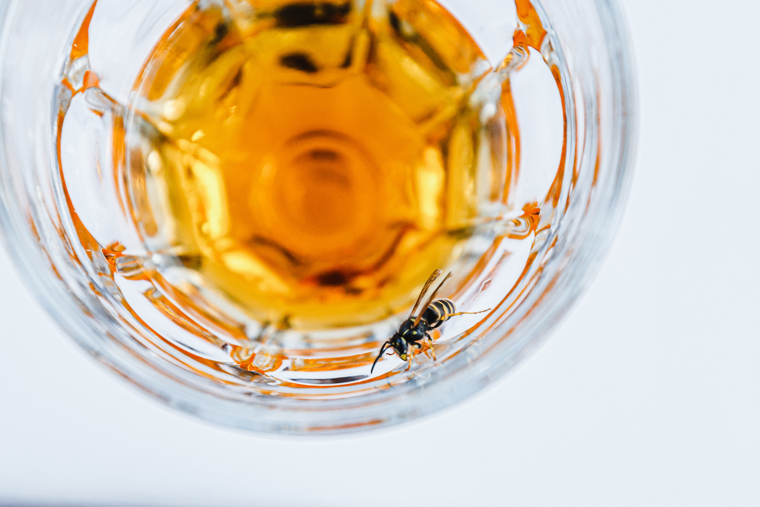 Свадебный фотограф Москва Питер Екатеринбург Антон Матвеев https://www.instagram.com/toha.matveev/