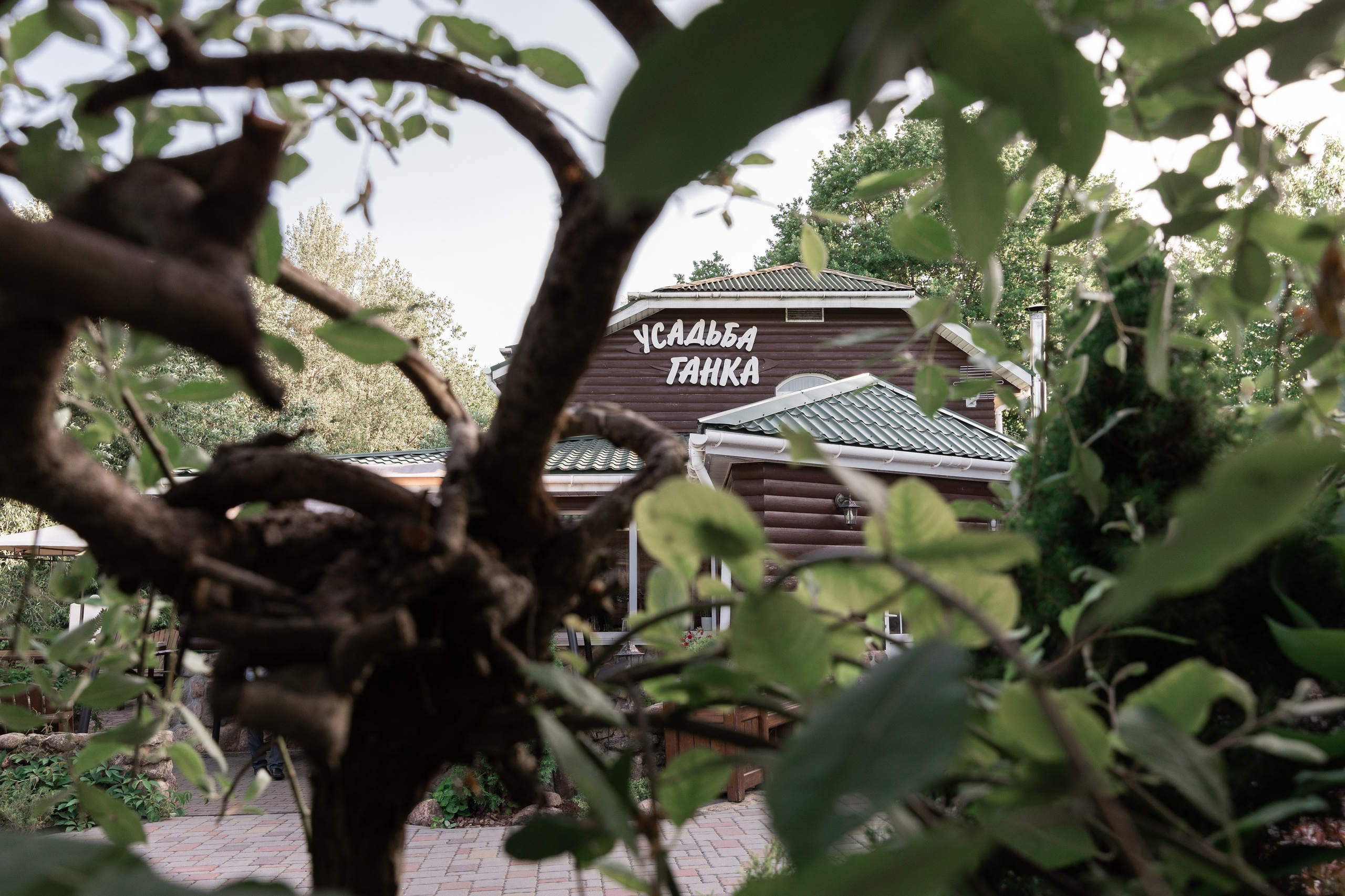 Чин & Вики. Свадебный фотограф в Минске в Москве в РБ Анатолий Полишко