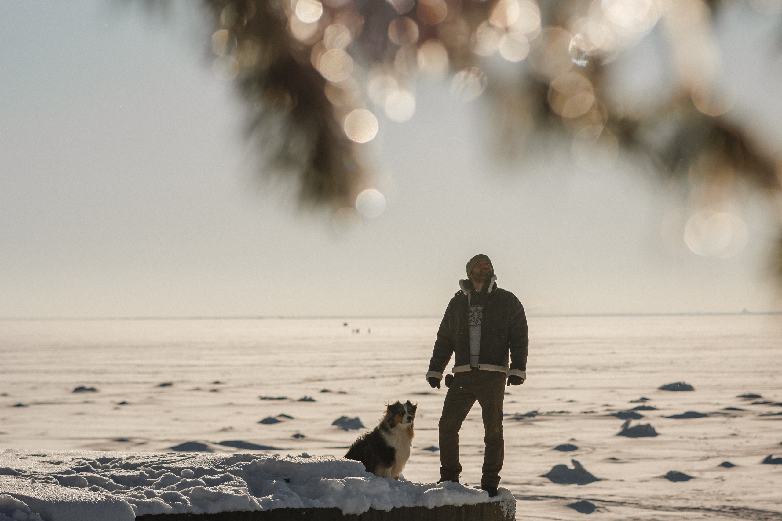 Константин и Локи. Фотограф в Санкт-Петербурге Алёна Губинская