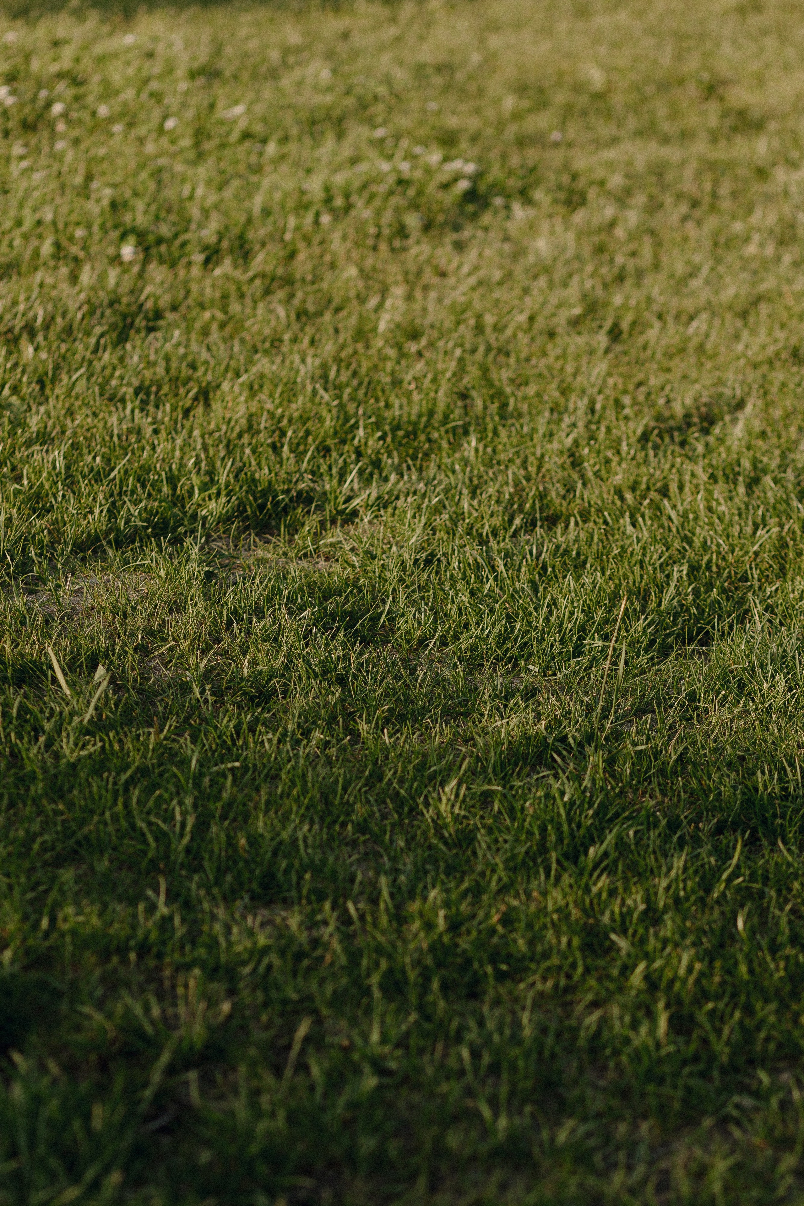 ОТЕЛЬ ВЕРТ. Свадебный и индивидуальный фотограф в Челябинске Евгения Негодяева