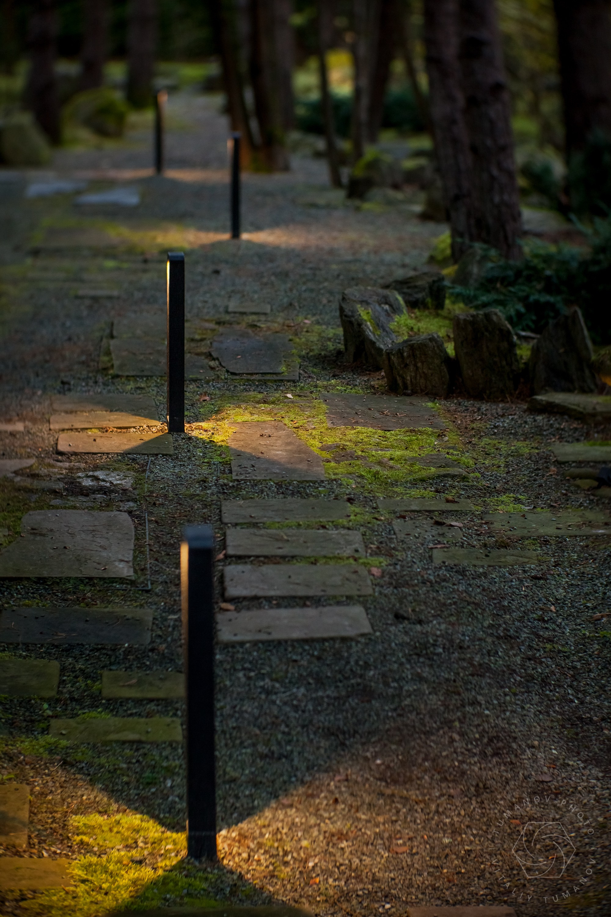 Вечерний сад «Сиреневый туман» (автор: Елена Асташкина). Виталий Туманов — Ландшафтный фотограф