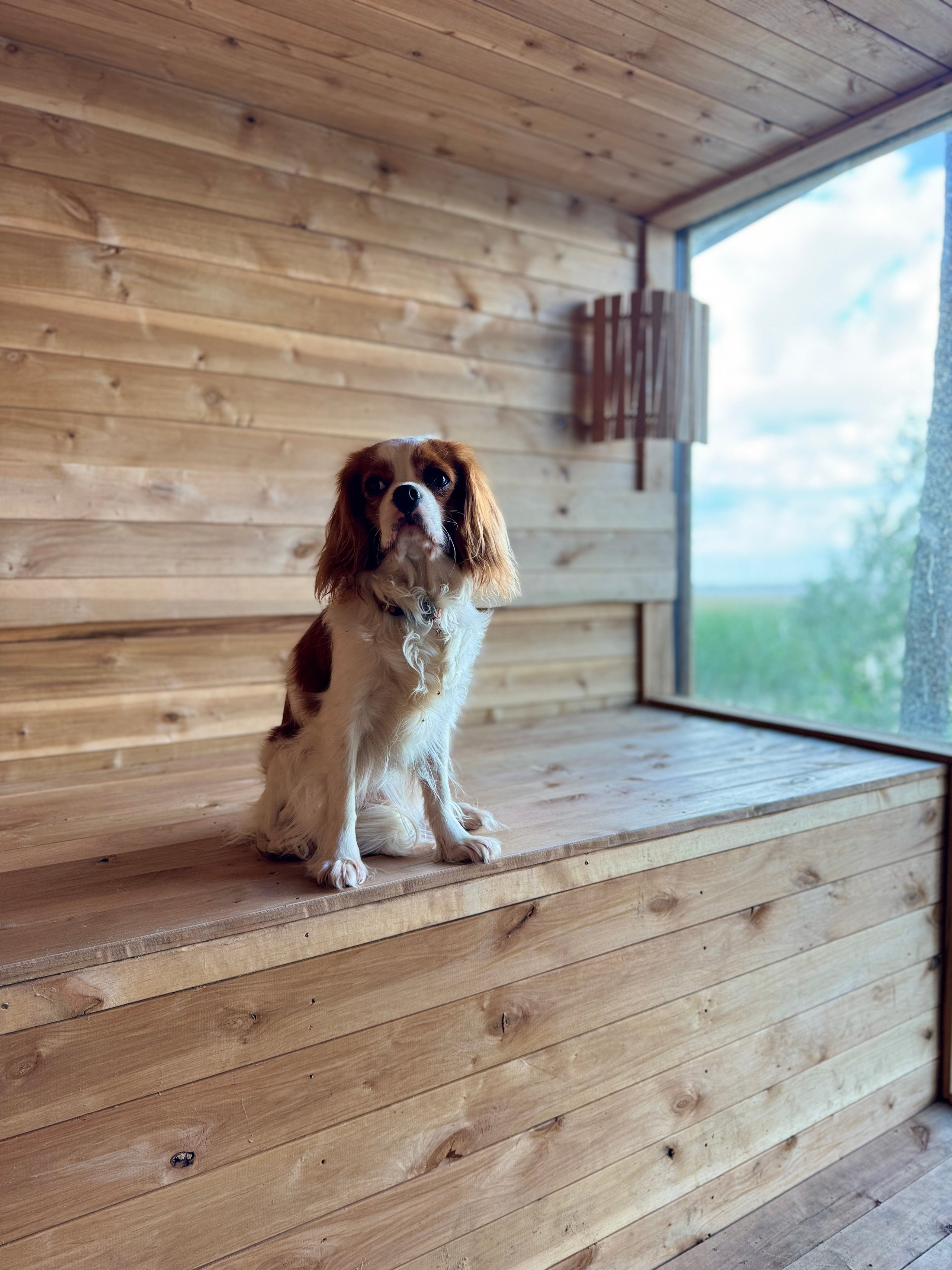 Баня. Добро пожаловать в Кемпинг — уникальное место для отдыха на лоне природы!
