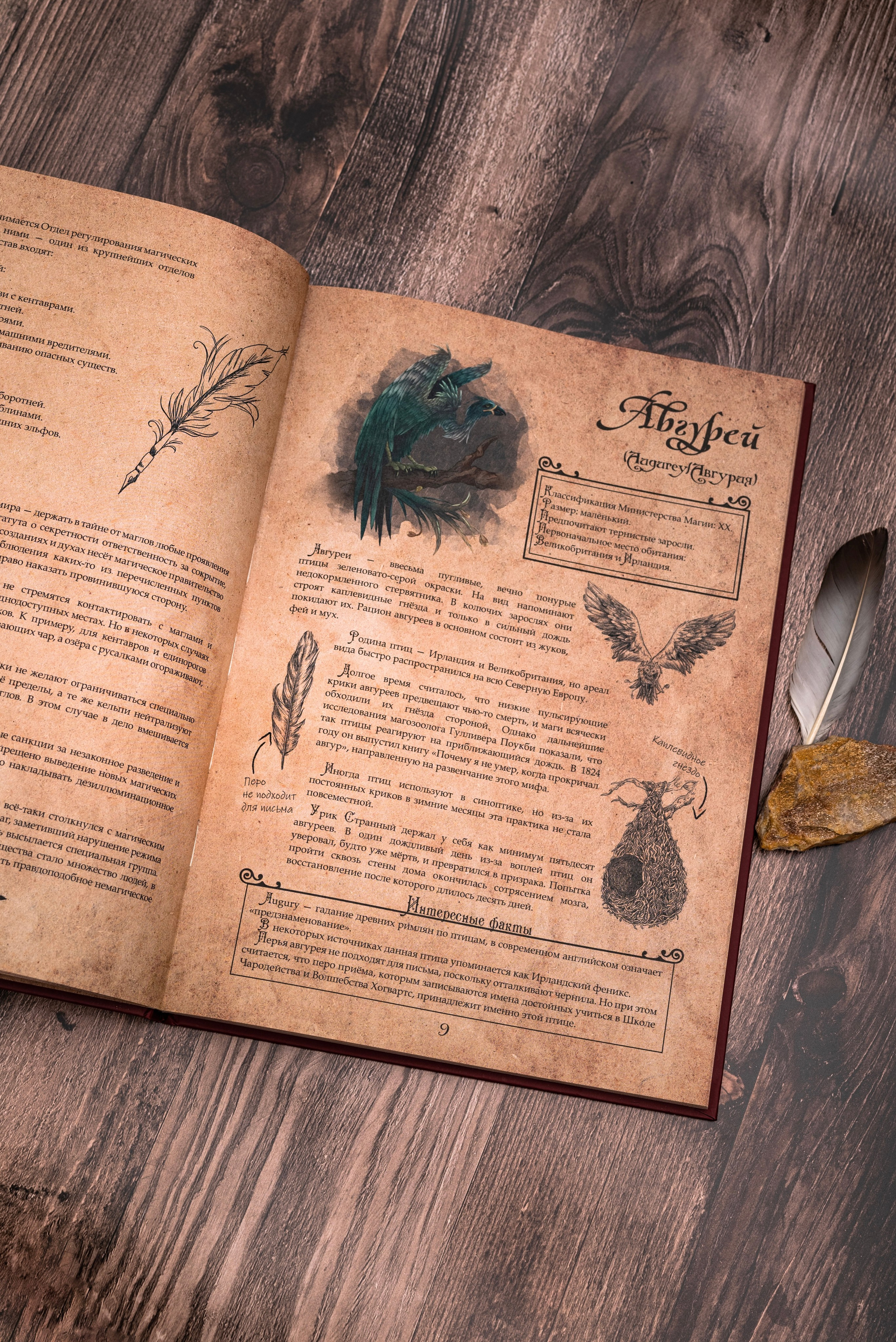 Книги по Гарри Поттеру. Предметный фотограф, фото для маркетплейсов Пятигорск, КМВ