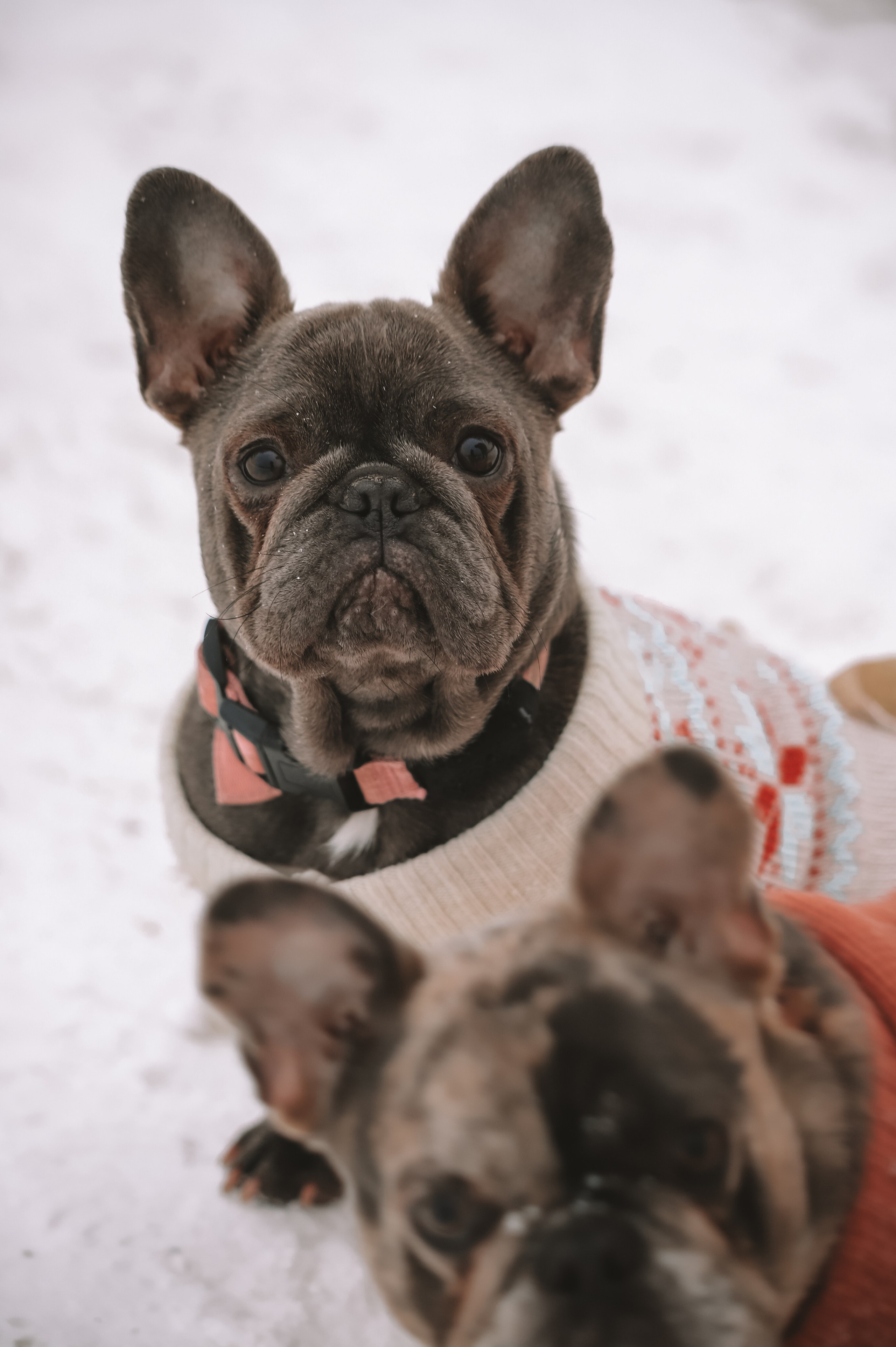 Григорий и Екатерина. Фотограф Москва и МО Анастасия Пясковская