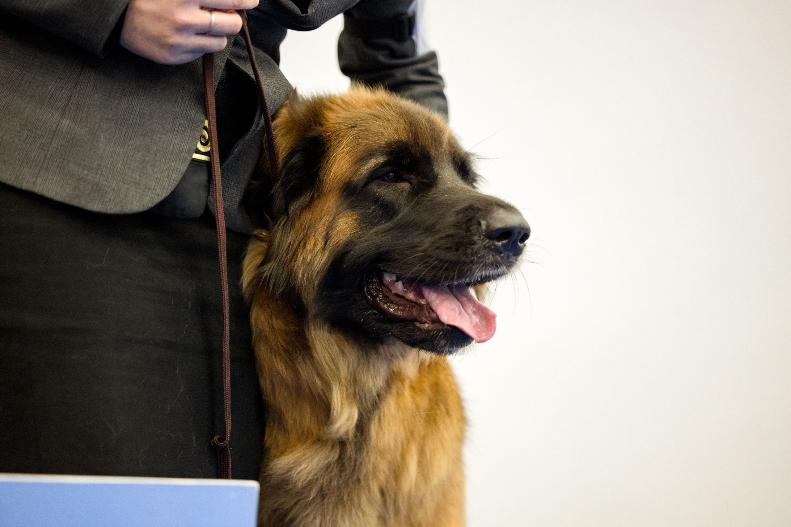 Нижний Новгород 21-22.10.2023. Фотограф-анималист Юлия Германика