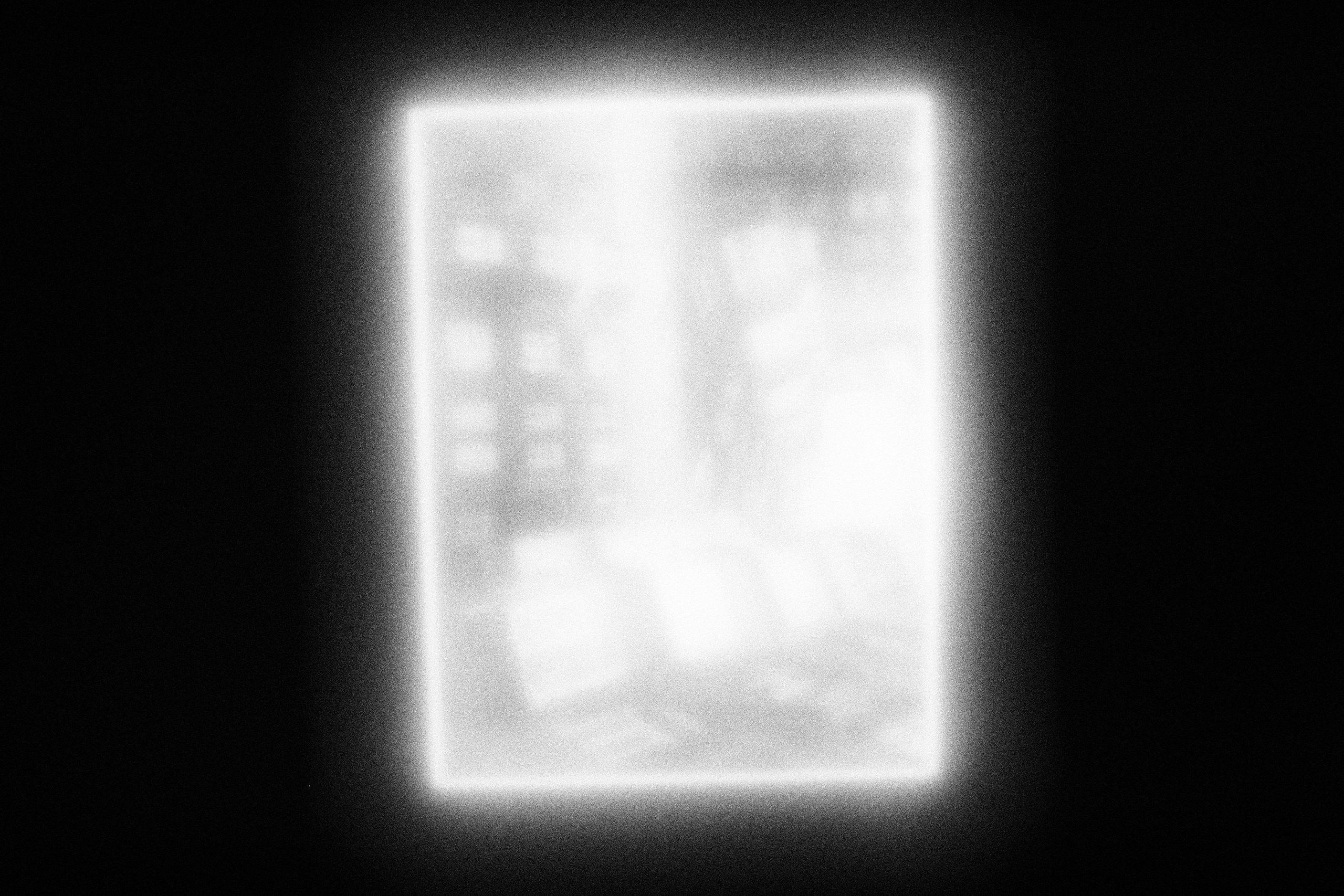 Маленькие искусства и я, Полина Шадрина