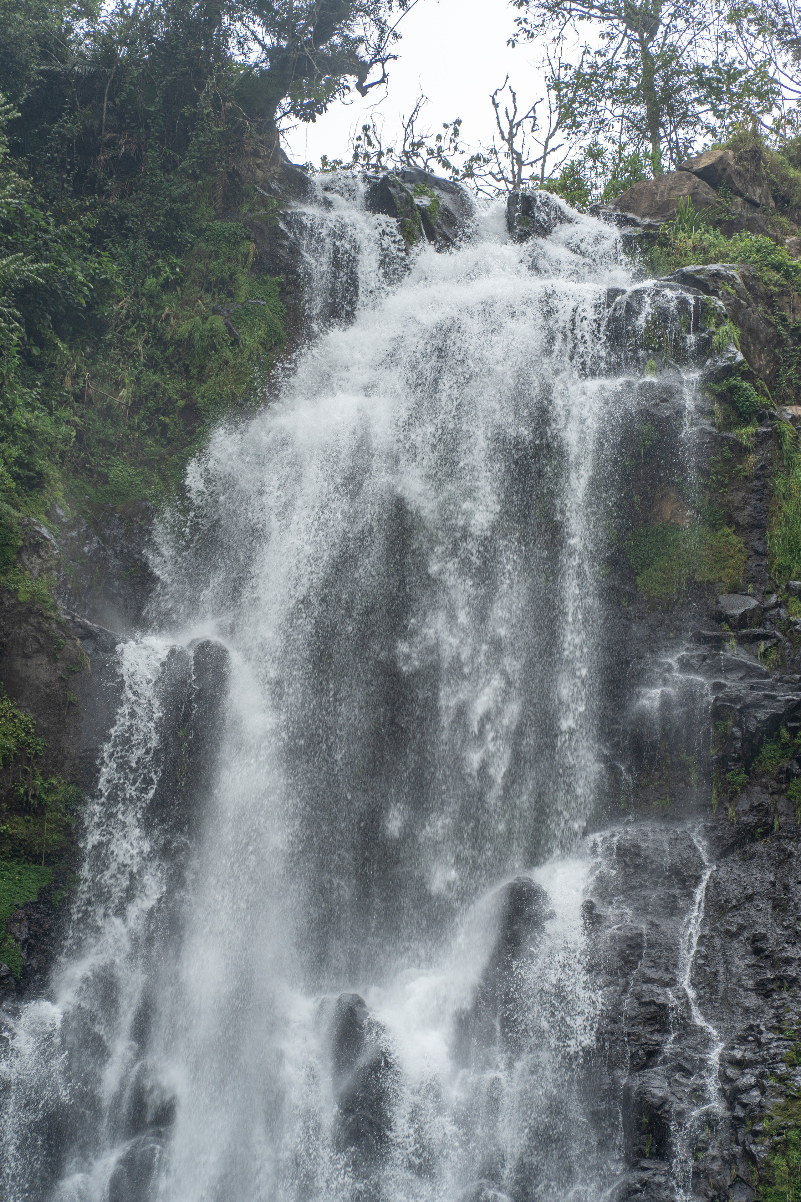 Танзания, сафари, 2025. Творческие сьемки
