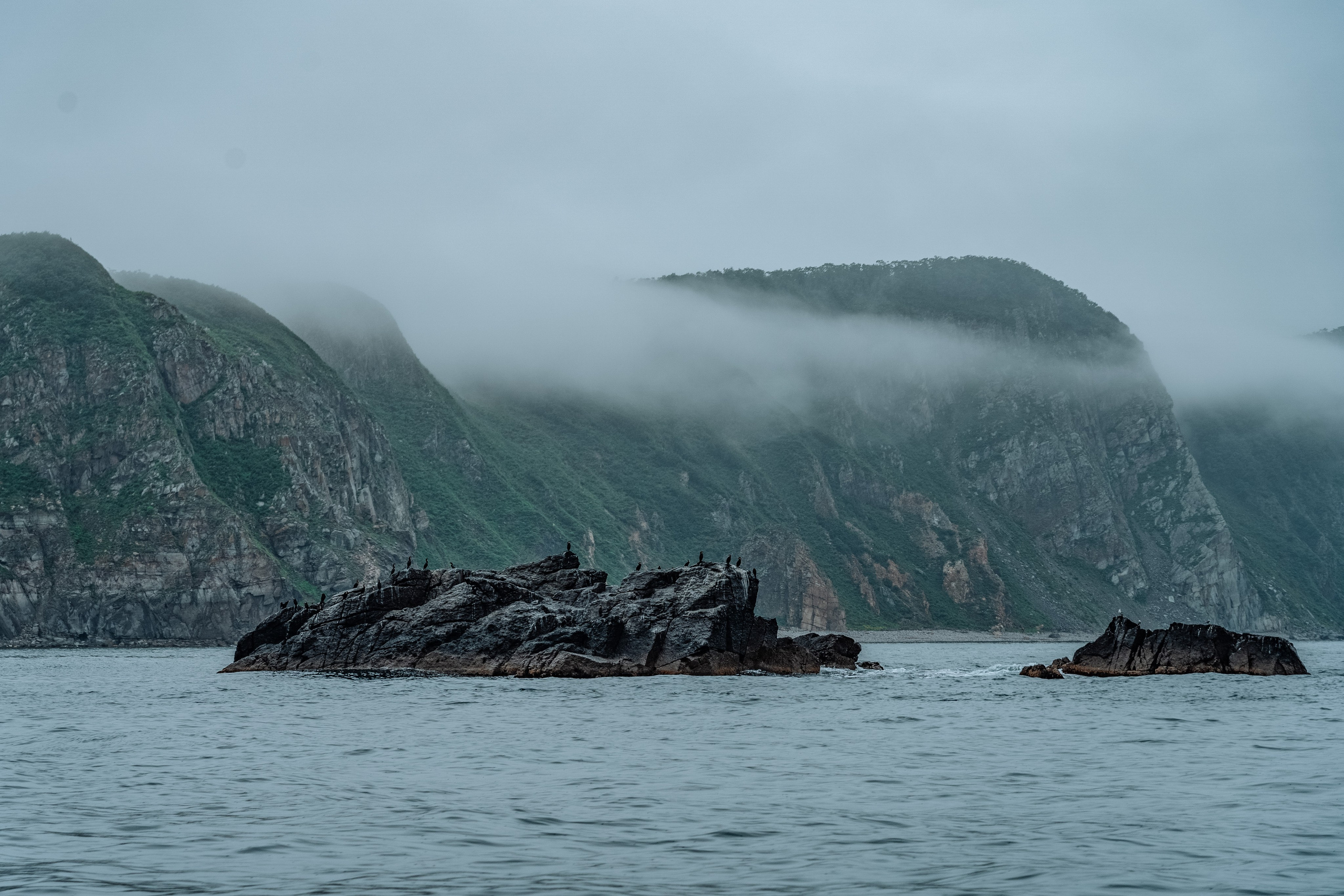 Сихотэ-Алинский заповедник, Приморский край. Репортажный фотограф в Крыму Ксения Гасица