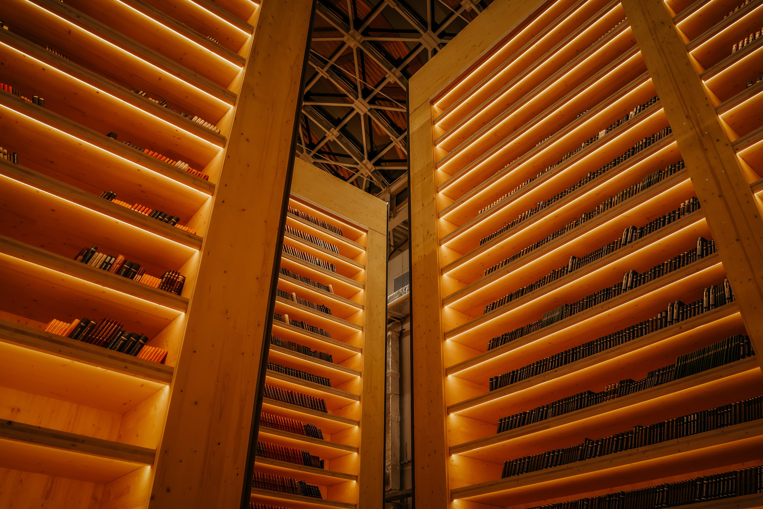 Всемирный фестиваль молодежи. Репортажный фотограф в Крыму Ксения Гасица