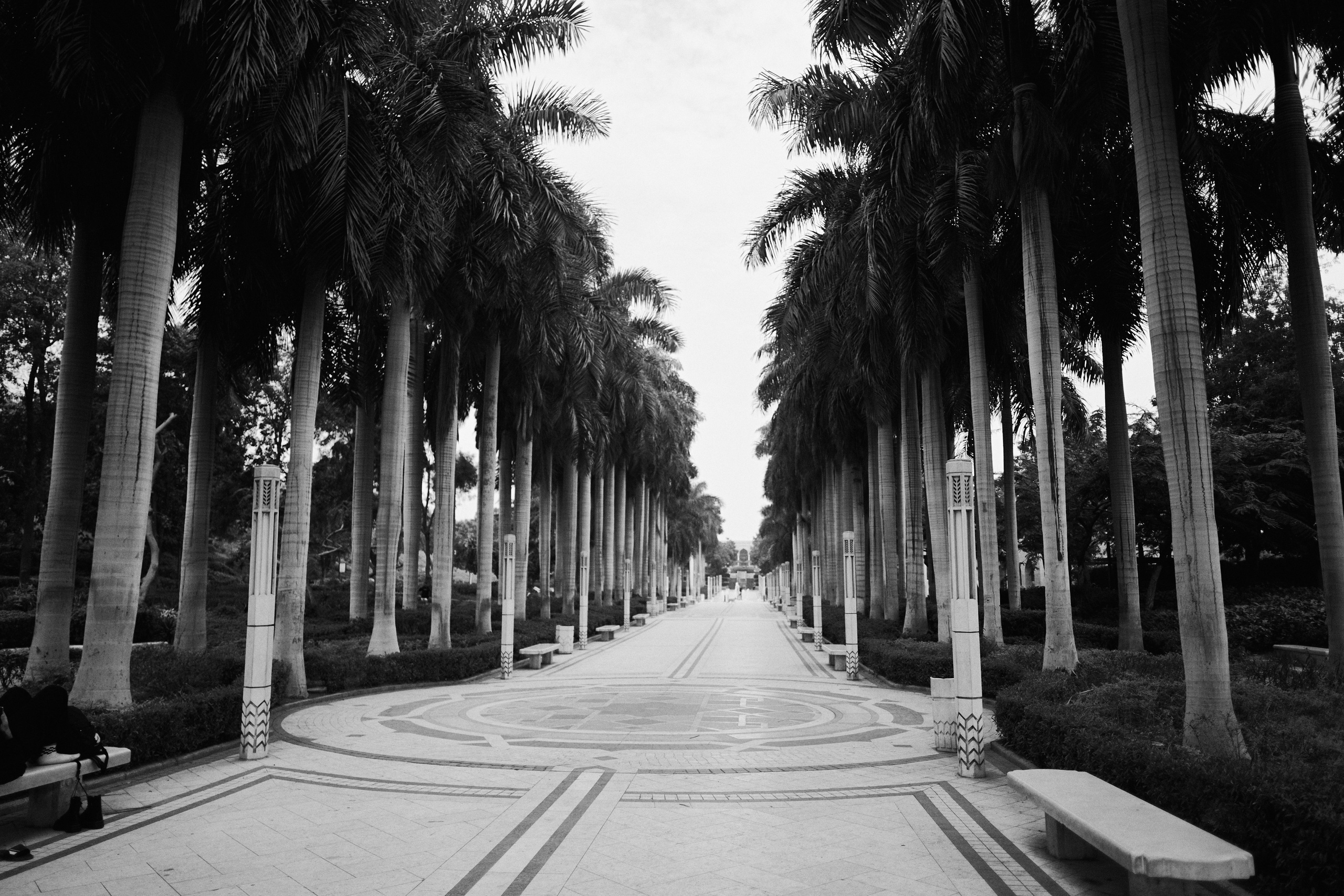 Другое 4. Jorgis — фотограф в Хургаде / обучение фотографии