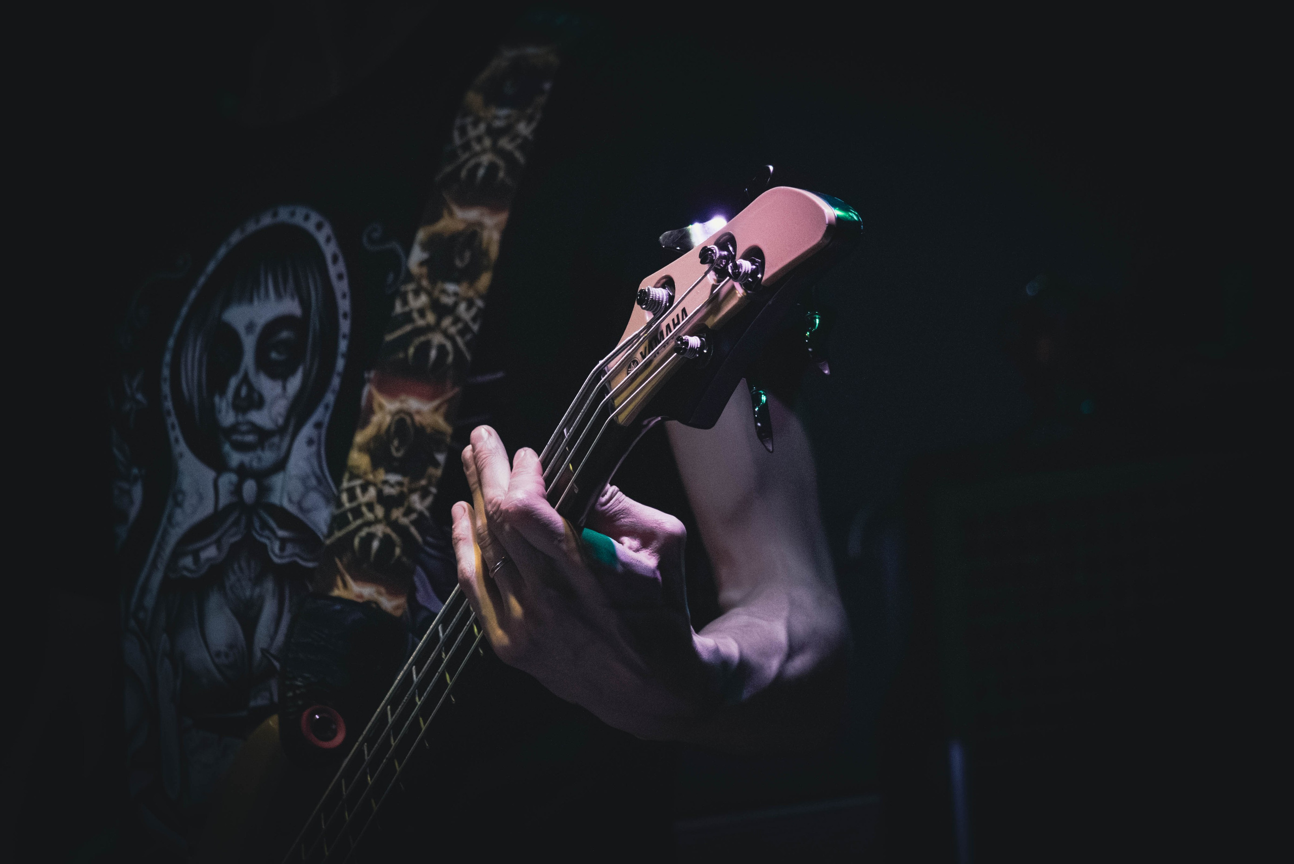 Antarctic (10 ноября 2024 года, Москва, клуб Mezzo Forte). Фотограф Светлана Блинова, Москва и Московская область