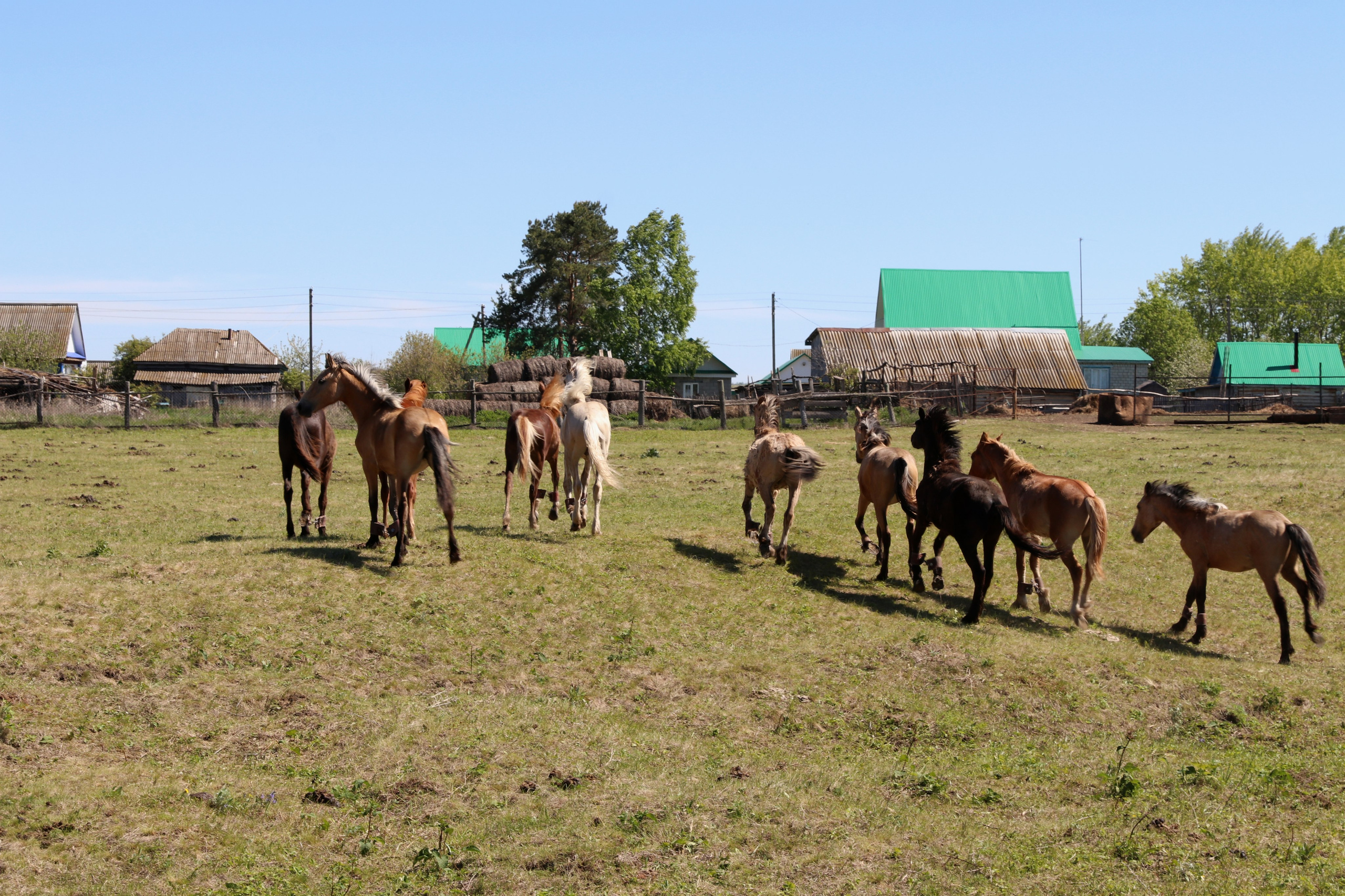 Велопоход Уфа — Мелеуз. Май 2024. Путешественник-фотограф из Санкт-Петербурга Татьяна Свистулина