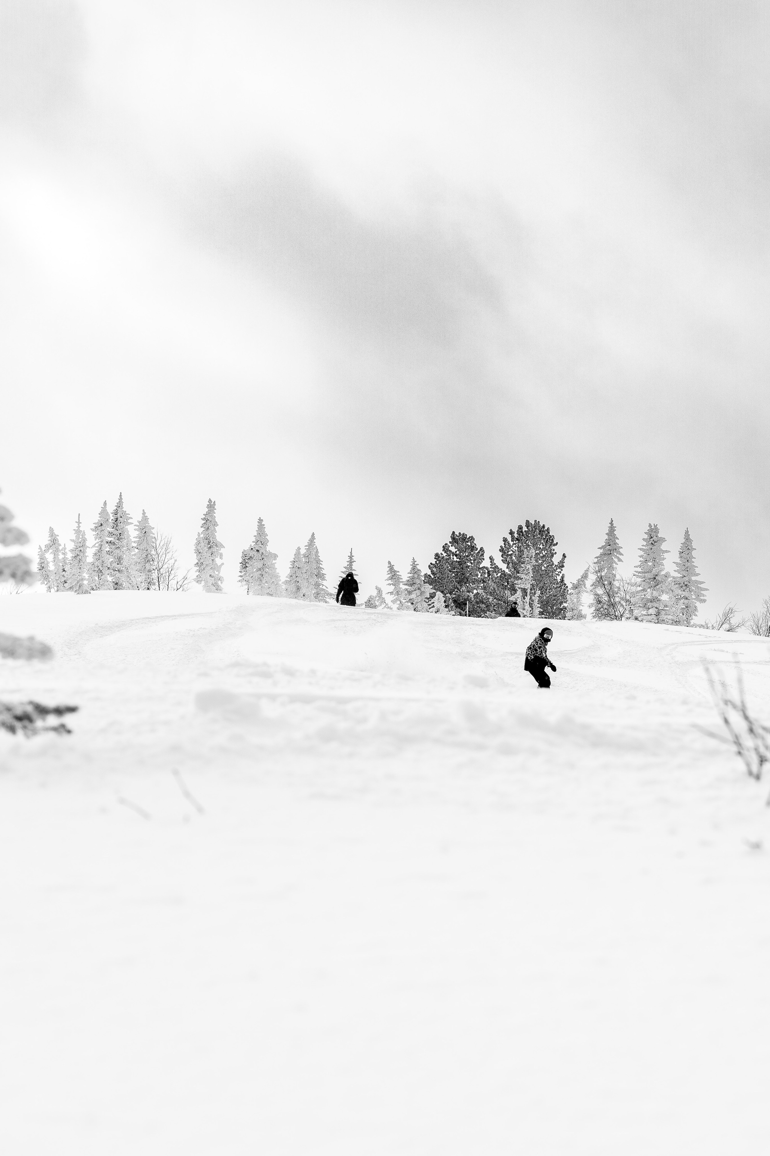 Фрирайд. Анастасия Паршукова — фотограф Шерегеш Новосибирск