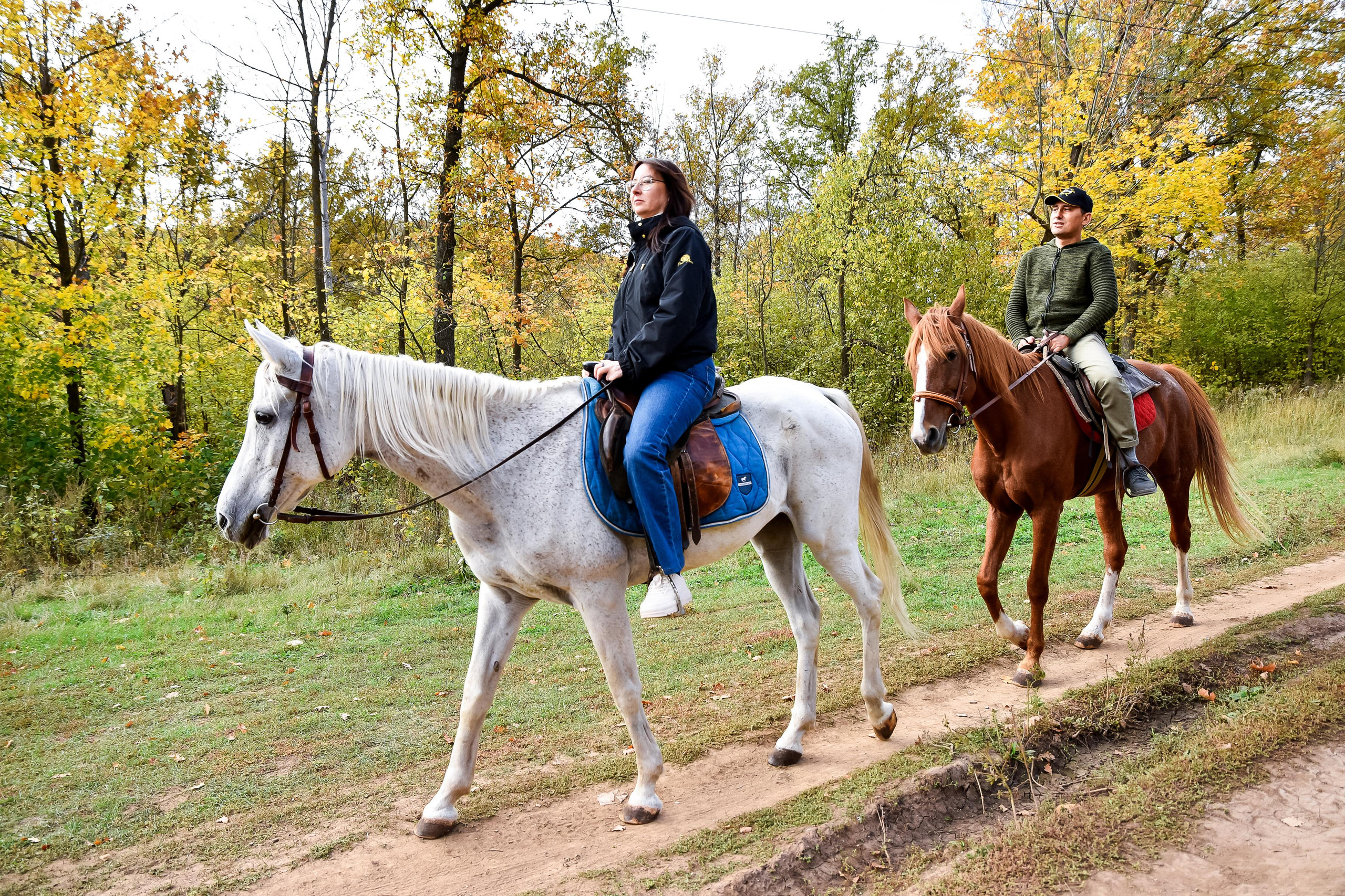 Конная прогулка