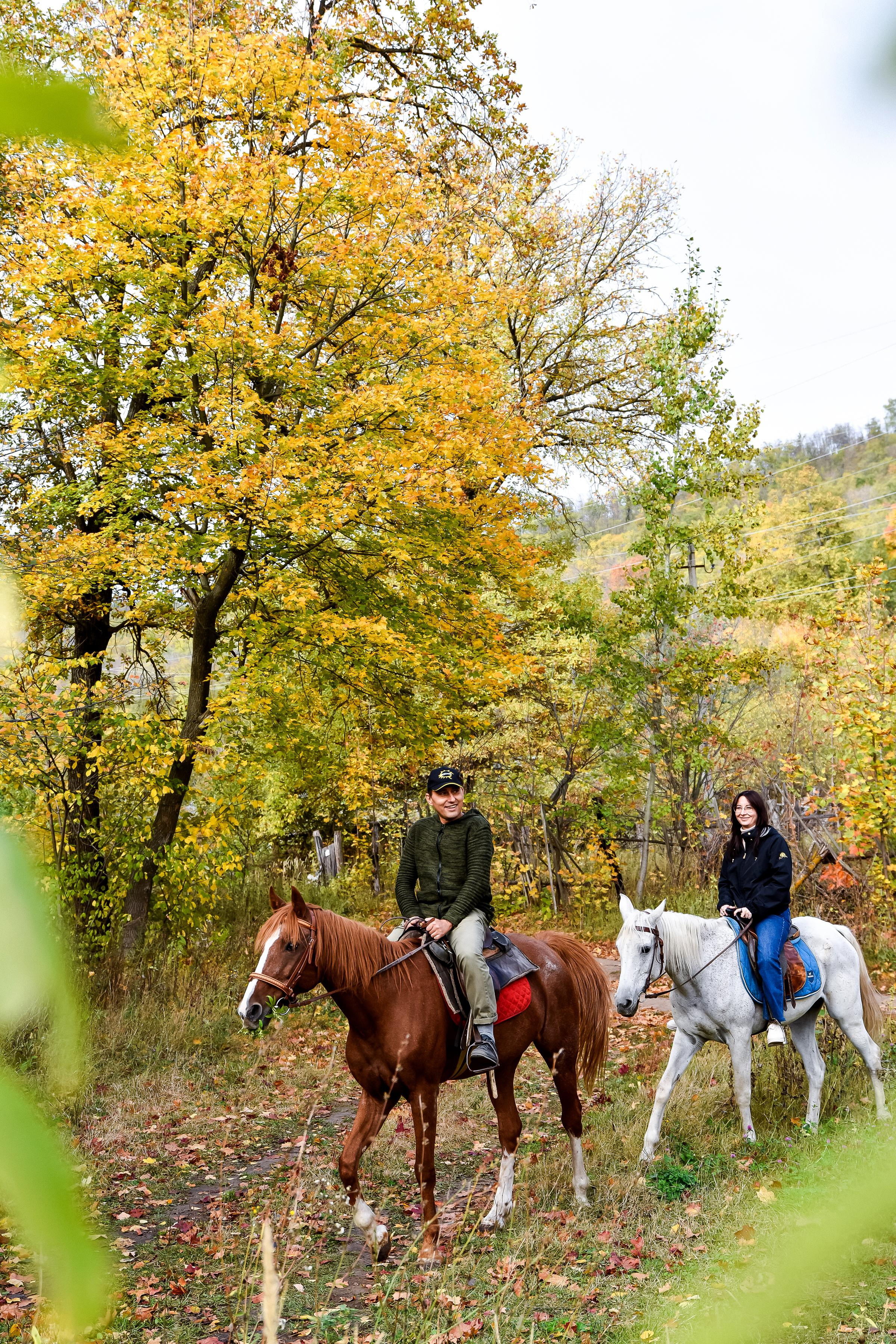 Конная прогулка
