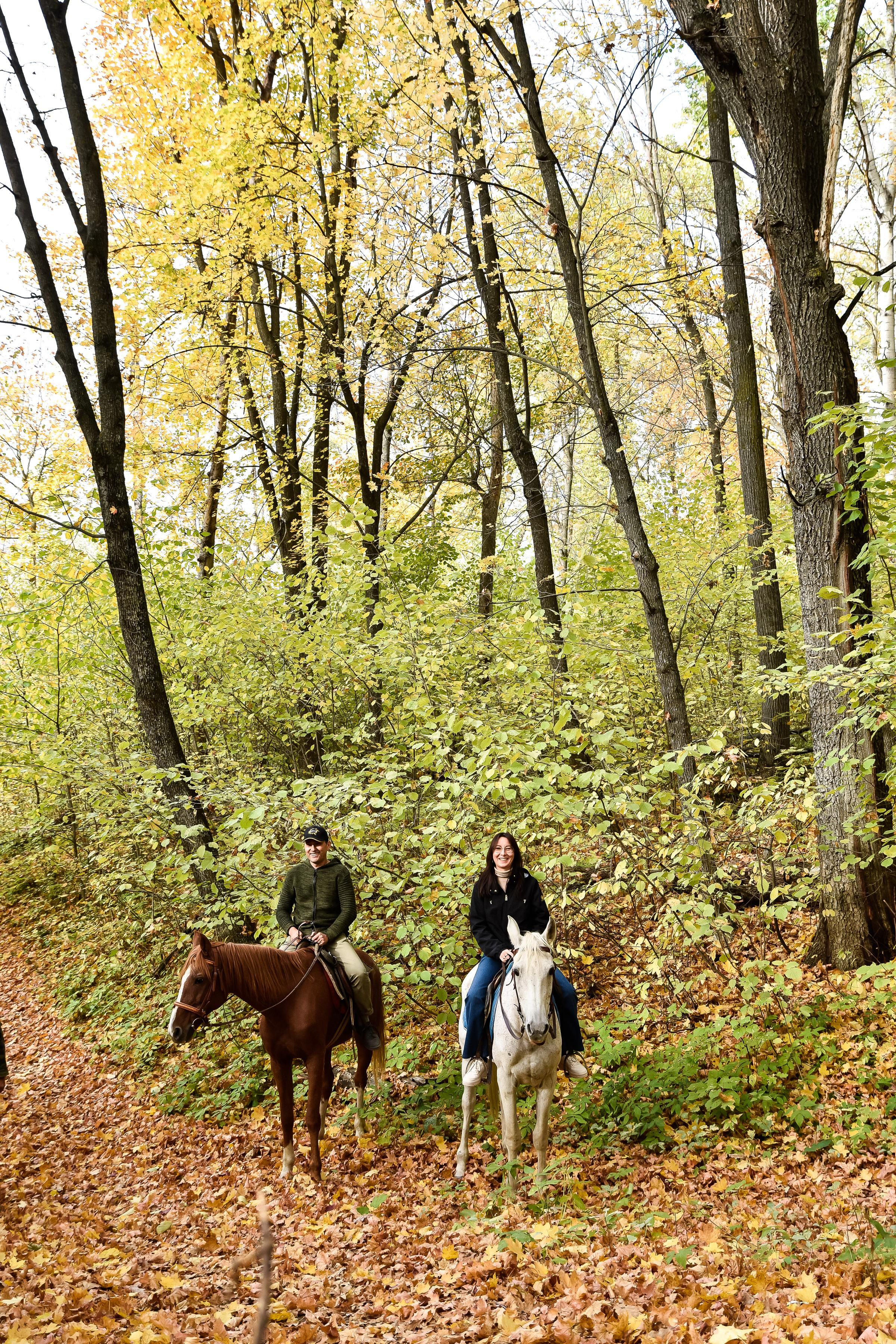 Конная прогулка