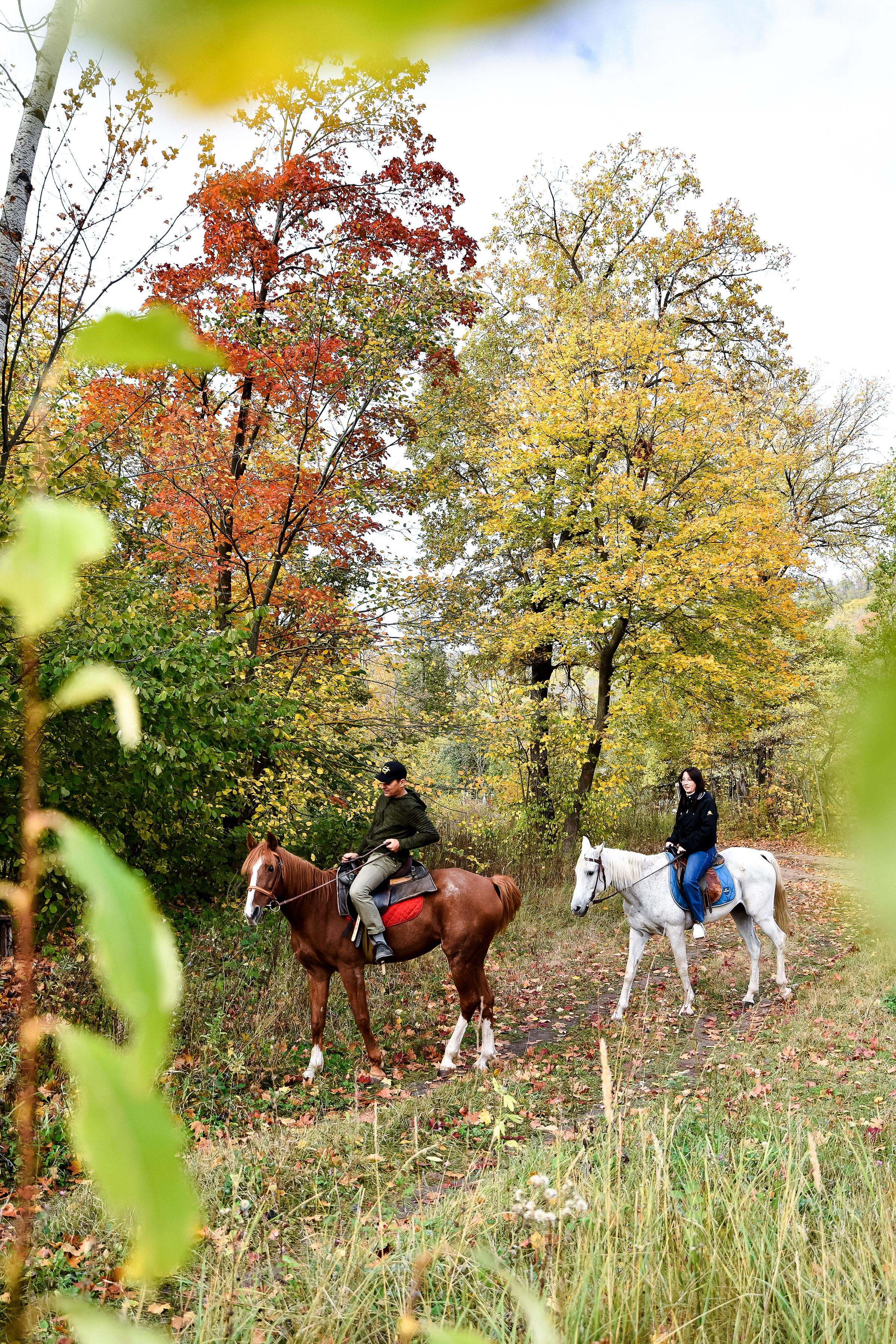 Конная прогулка