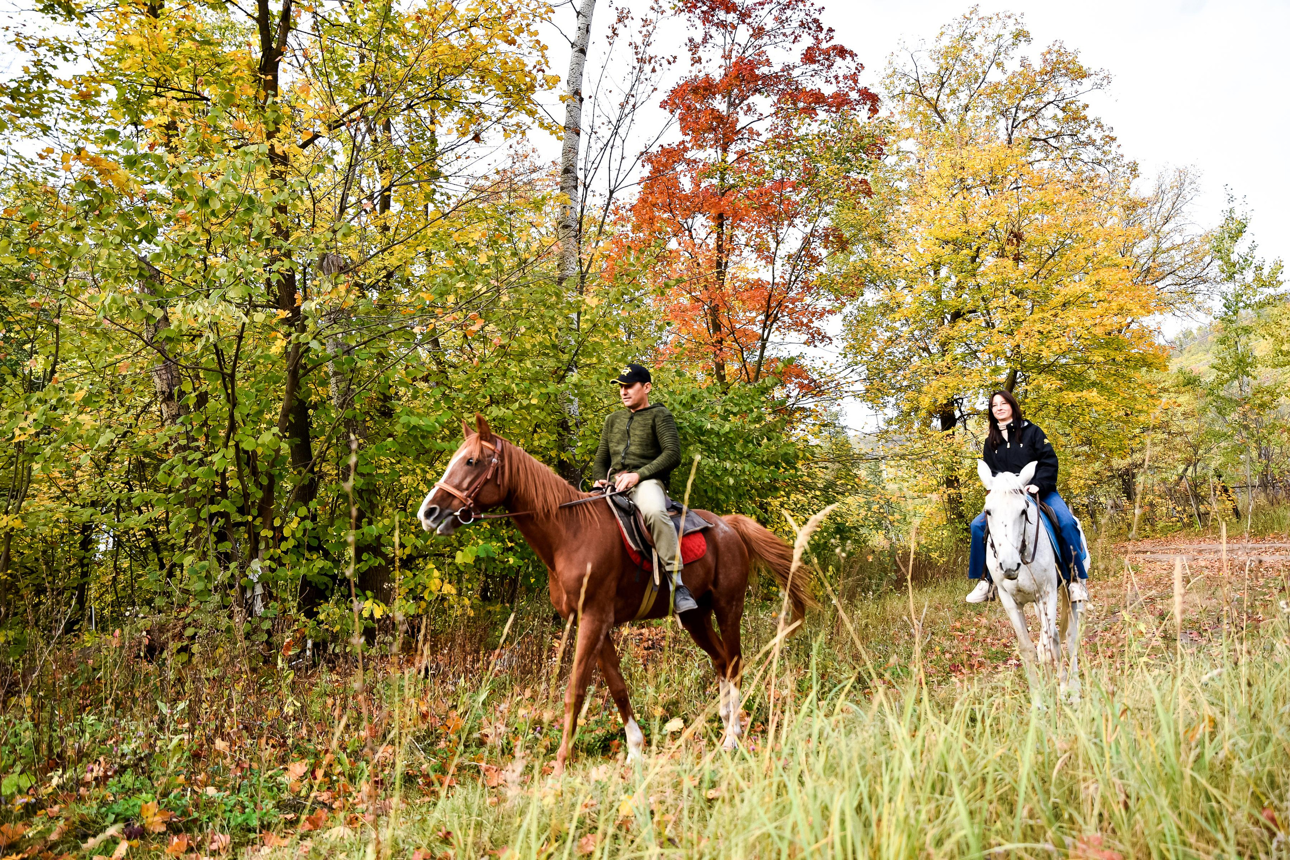 Конная прогулка