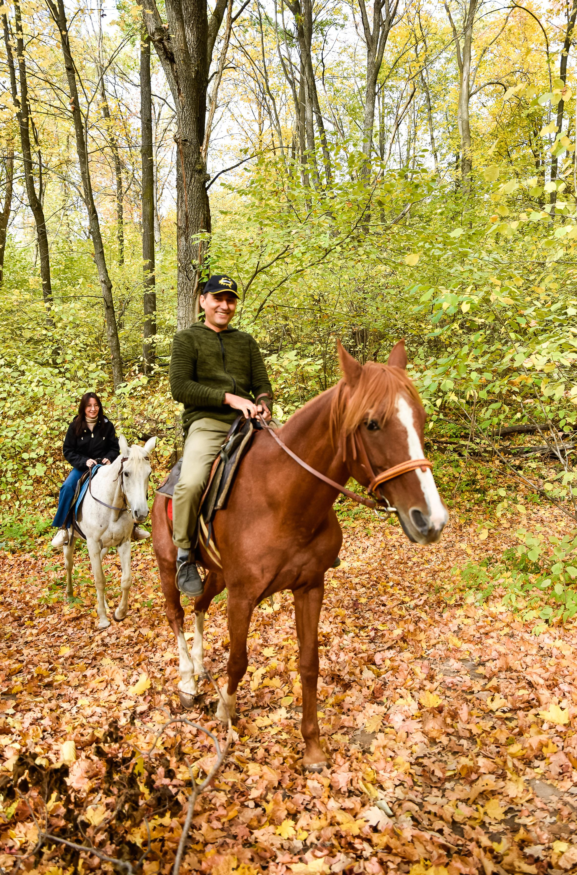 Конная прогулка